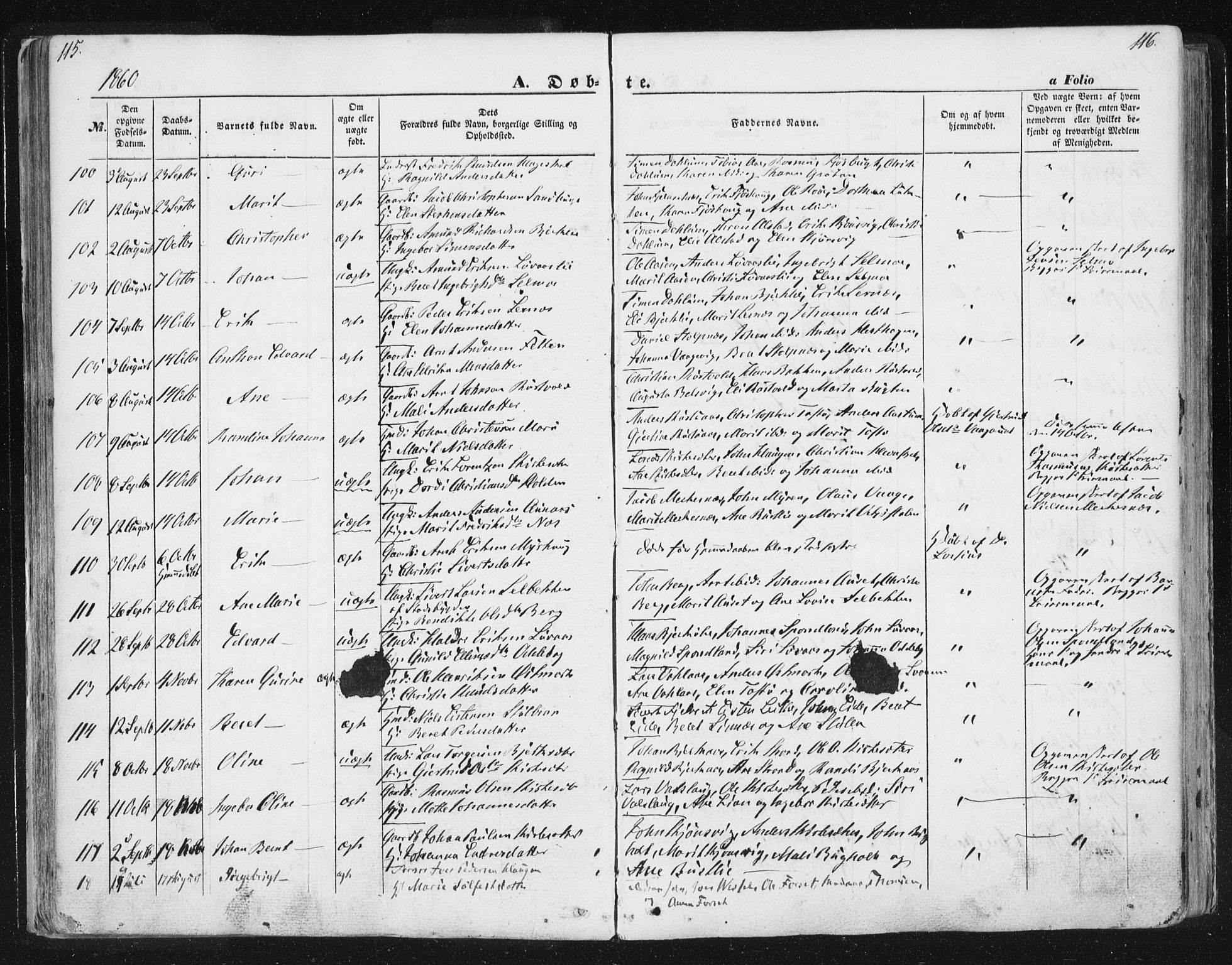 Ministerialprotokoller, klokkerbøker og fødselsregistre - Sør-Trøndelag, SAT/A-1456/630/L0494: Parish register (official) no. 630A07, 1852-1868, p. 115-116