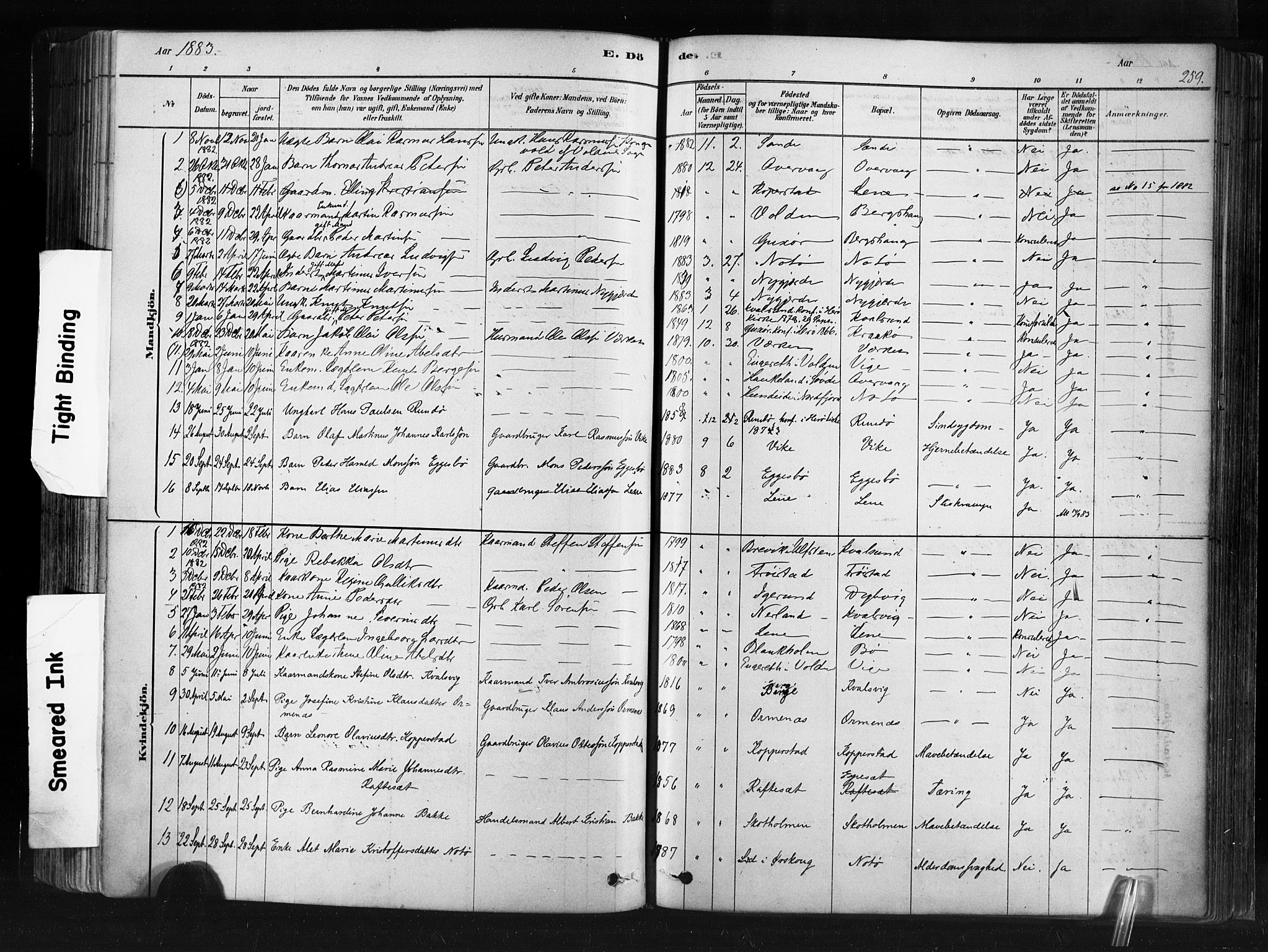 Ministerialprotokoller, klokkerbøker og fødselsregistre - Møre og Romsdal, AV/SAT-A-1454/507/L0073: Parish register (official) no. 507A08, 1878-1904, p. 259