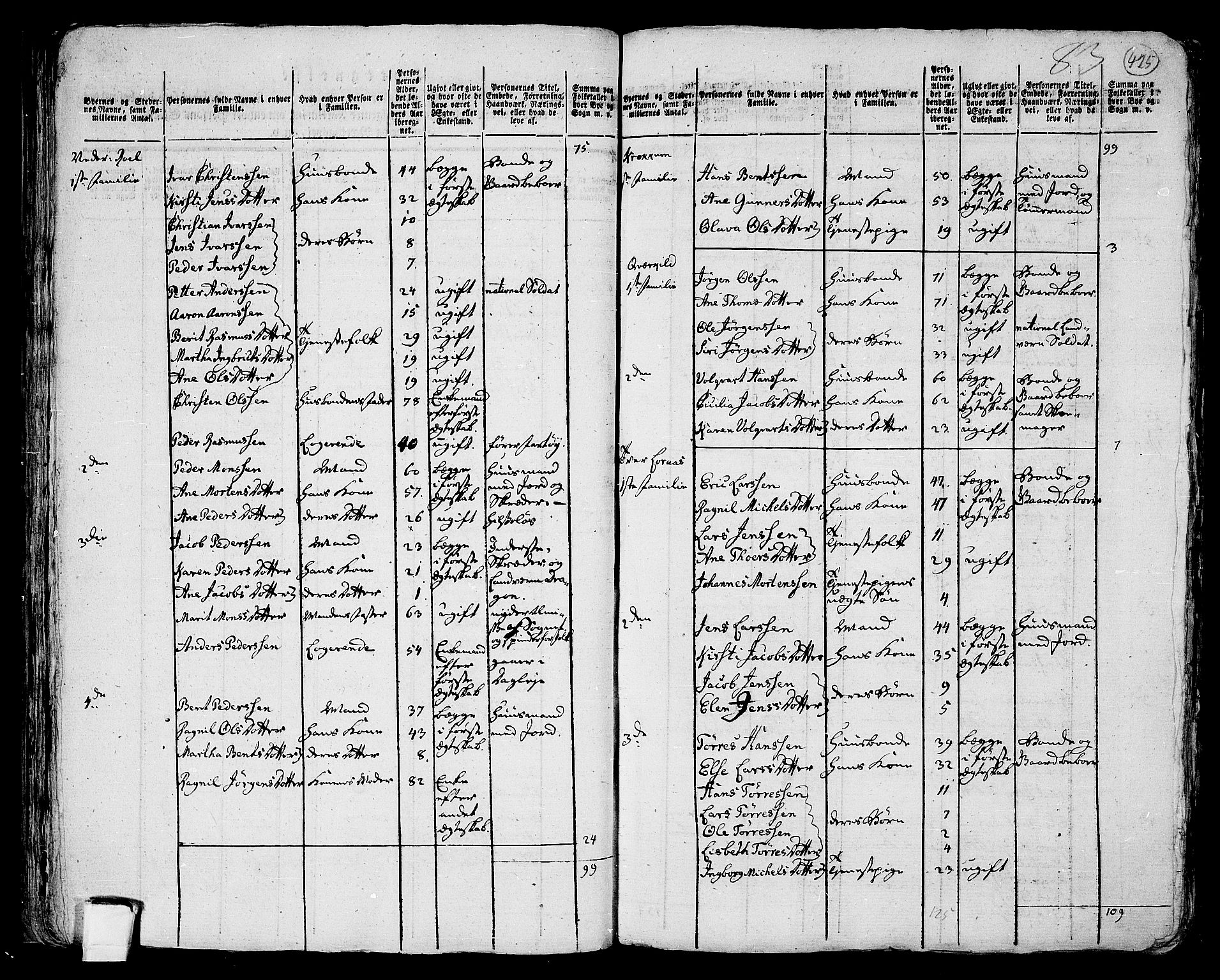 RA, 1801 census for 1729P Inderøy, 1801, p. 424b-425a