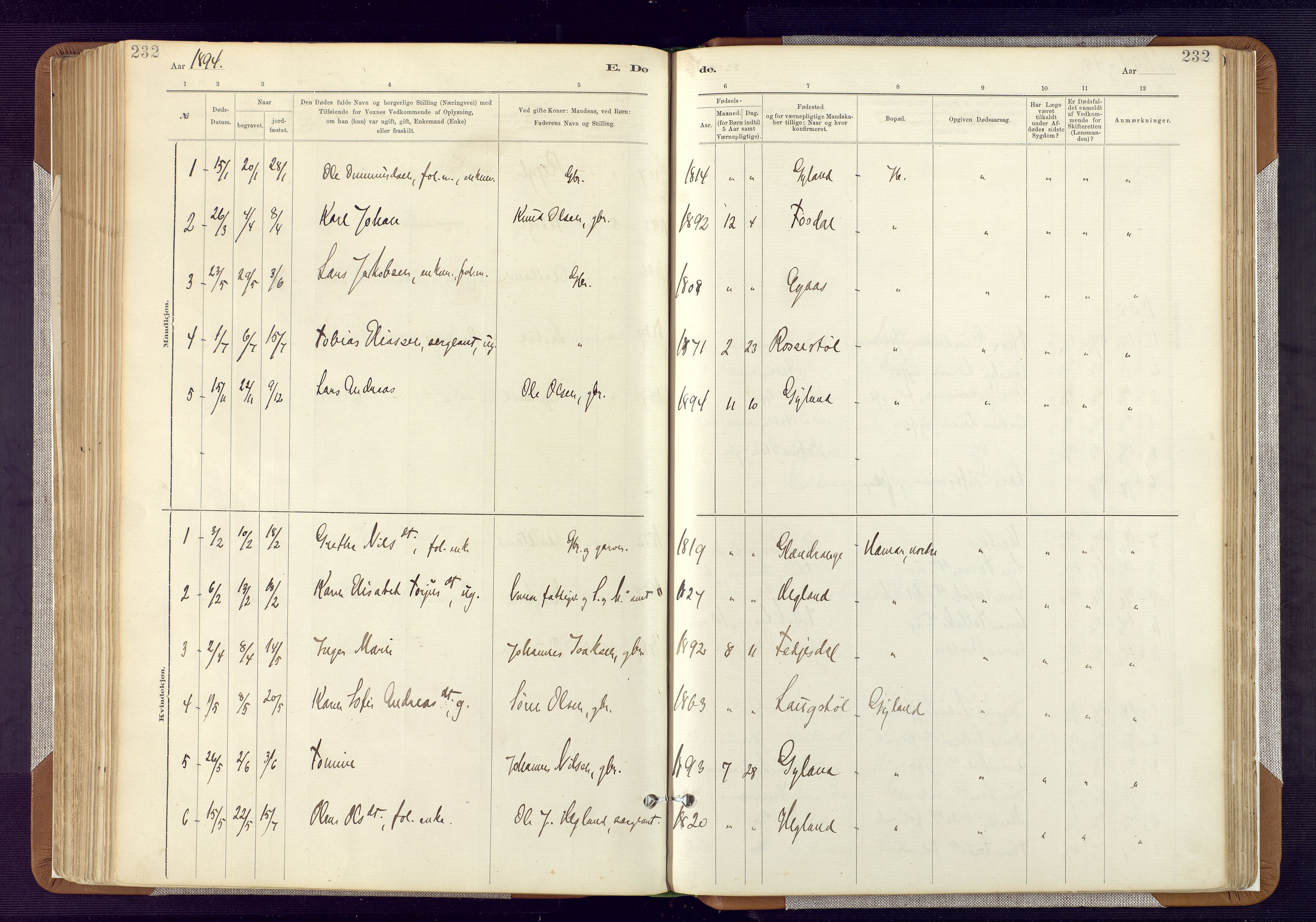 Bakke sokneprestkontor, SAK/1111-0002/F/Fa/Fab/L0003: Parish register (official) no. A 3, 1884-1921, p. 232
