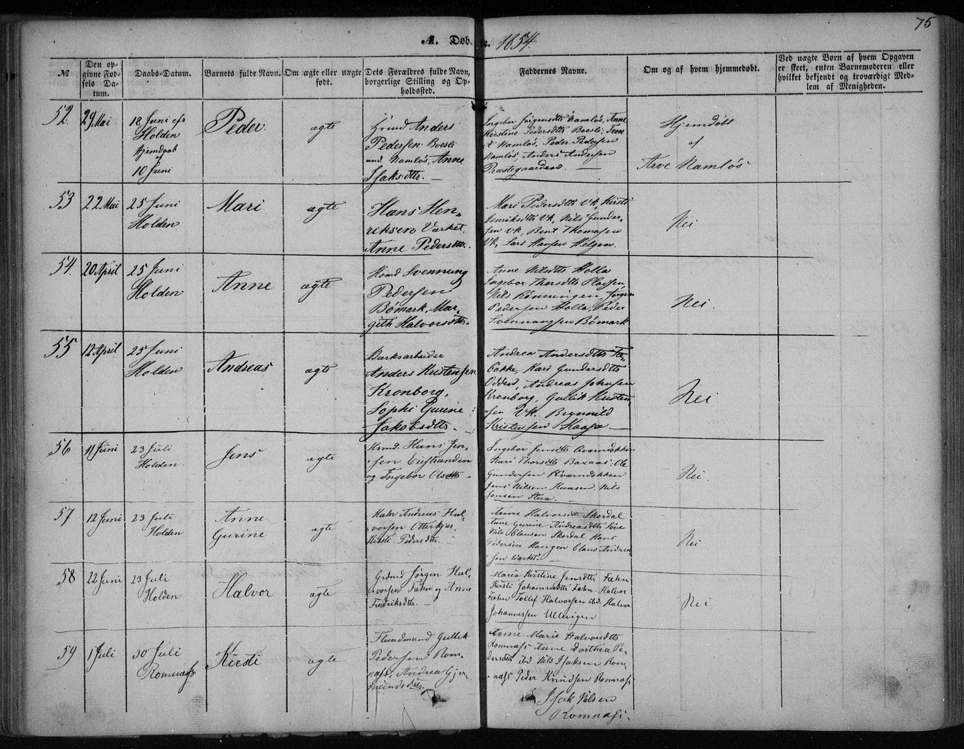 Holla kirkebøker, AV/SAKO-A-272/F/Fa/L0005: Parish register (official) no. 5, 1849-1860, p. 75