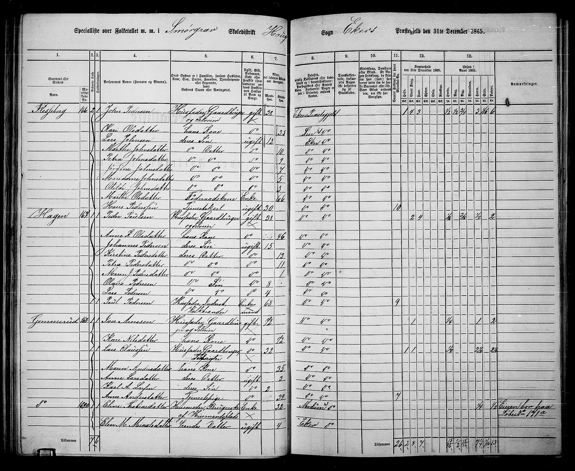 RA, 1865 census for Eiker, 1865, p. 55