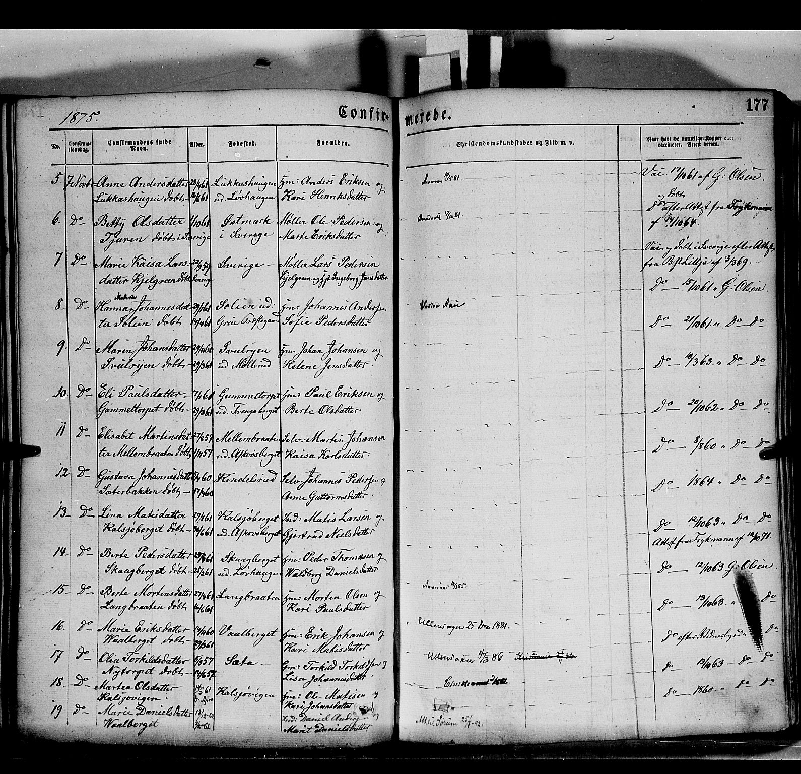 Grue prestekontor, SAH/PREST-036/H/Ha/Haa/L0011: Parish register (official) no. 11, 1873-1880, p. 177