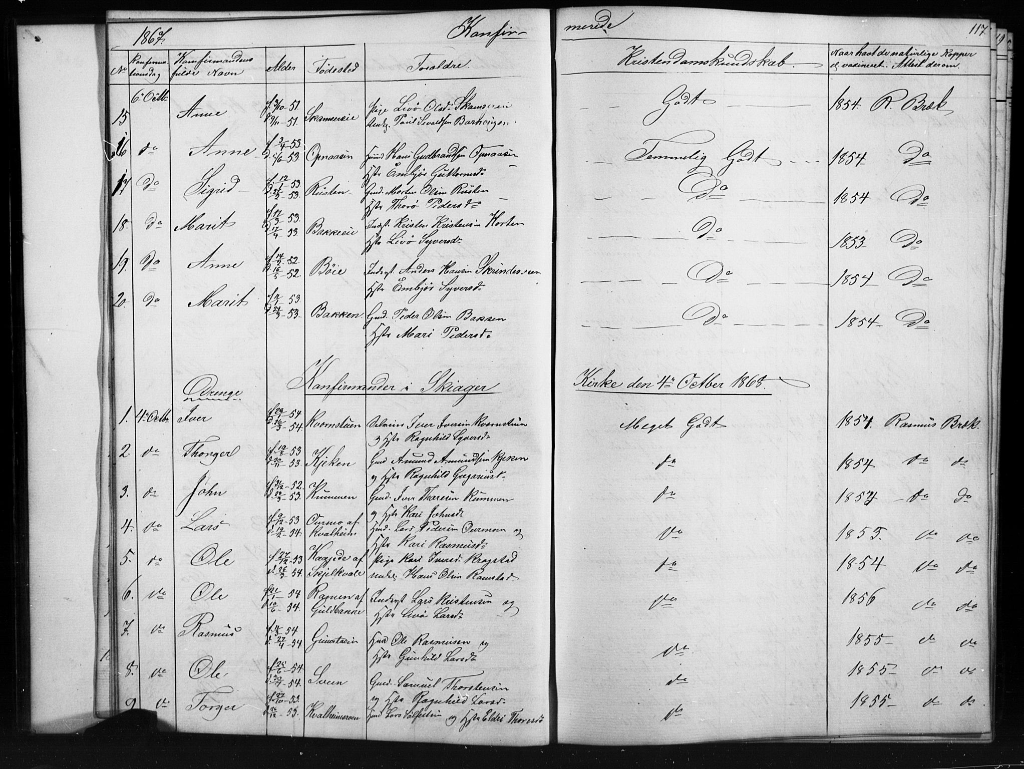 Skjåk prestekontor, SAH/PREST-072/H/Ha/Hab/L0001: Parish register (copy) no. 1, 1865-1893, p. 117