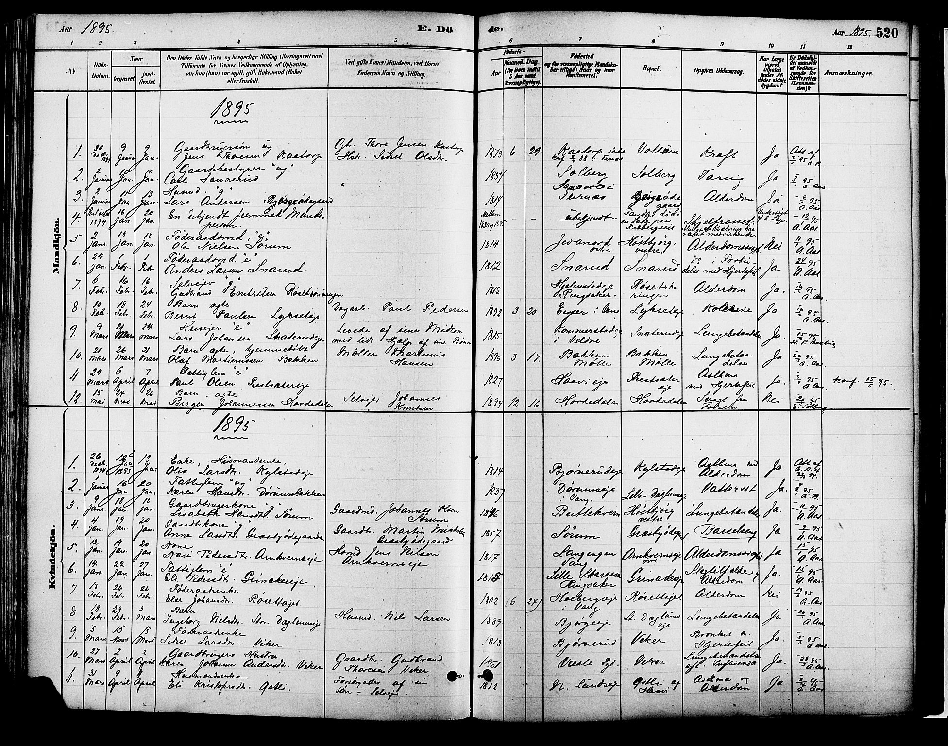 Vang prestekontor, Hedmark, SAH/PREST-008/H/Ha/Haa/L0018B: Parish register (official) no. 18B, 1880-1906, p. 520