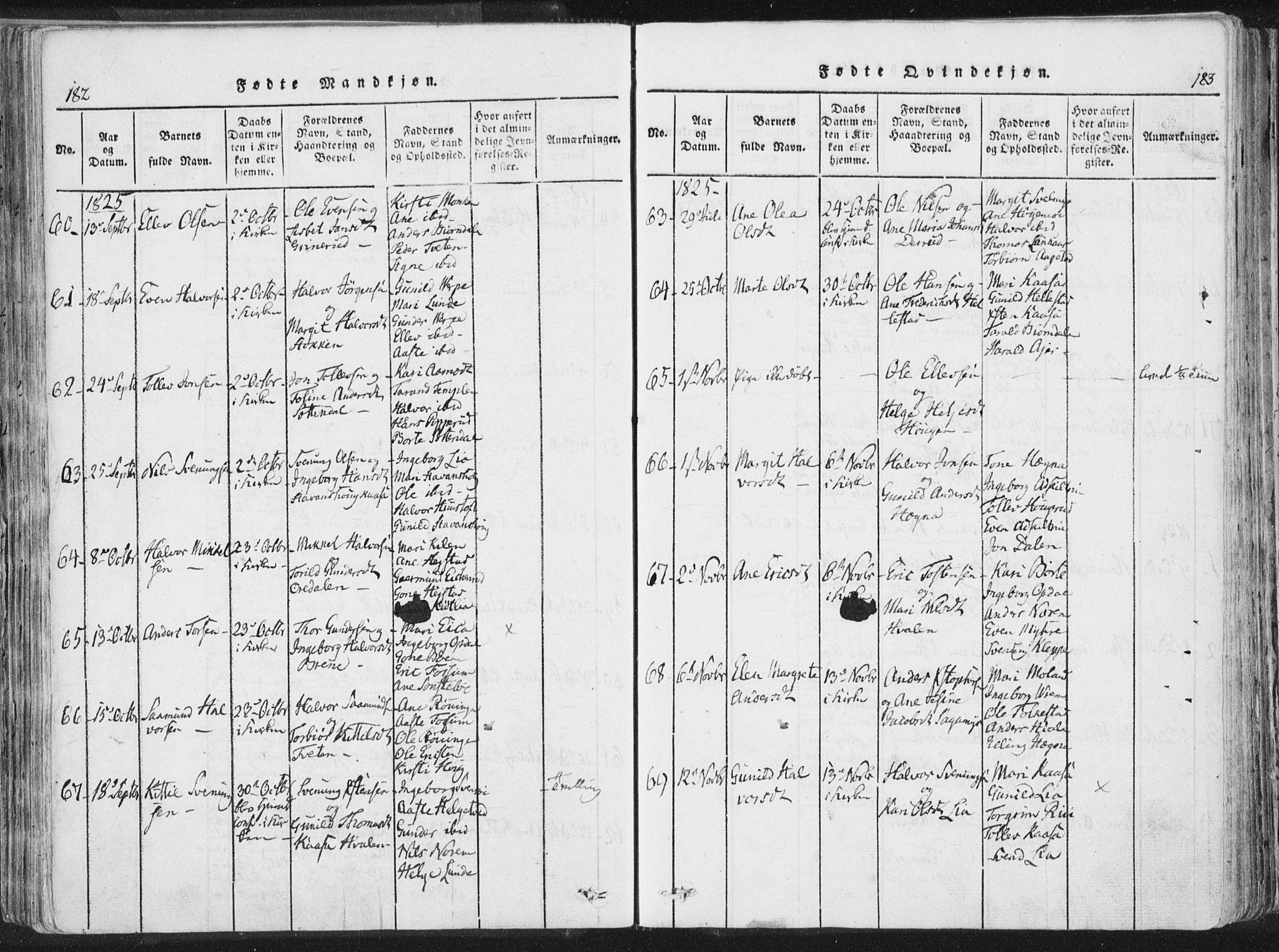 Bø kirkebøker, AV/SAKO-A-257/F/Fa/L0006: Parish register (official) no. 6, 1815-1831, p. 182-183