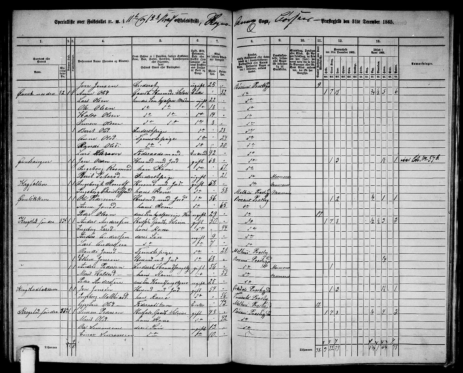 RA, 1865 census for Børsa, 1865, p. 123