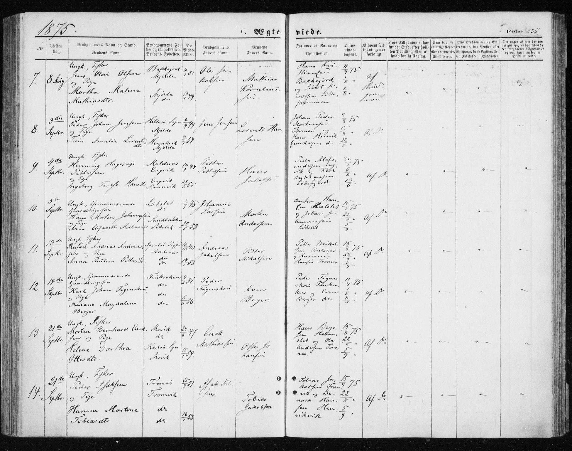 Tromsøysund sokneprestkontor, AV/SATØ-S-1304/G/Ga/L0003kirke: Parish register (official) no. 3, 1875-1880, p. 135