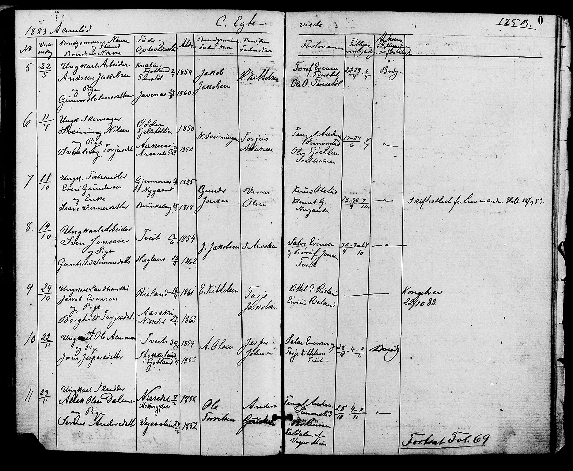 Åmli sokneprestkontor, AV/SAK-1111-0050/F/Fa/Fac/L0009: Parish register (official) no. A 9 /1, 1869-1884, p. 125b