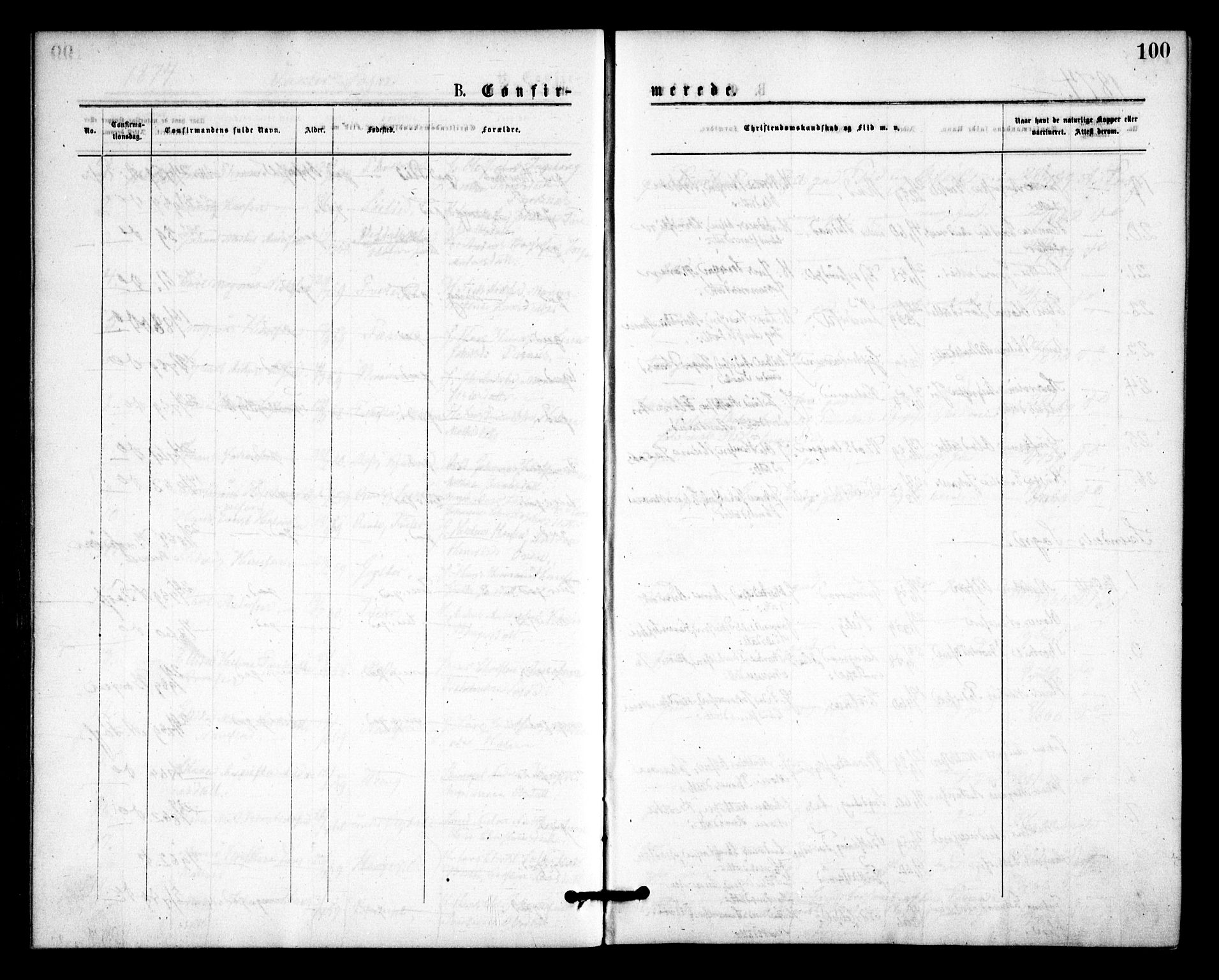 Våler prestekontor Kirkebøker, SAO/A-11083/F/Fa/L0009: Parish register (official) no. I 9, 1873-1877, p. 100