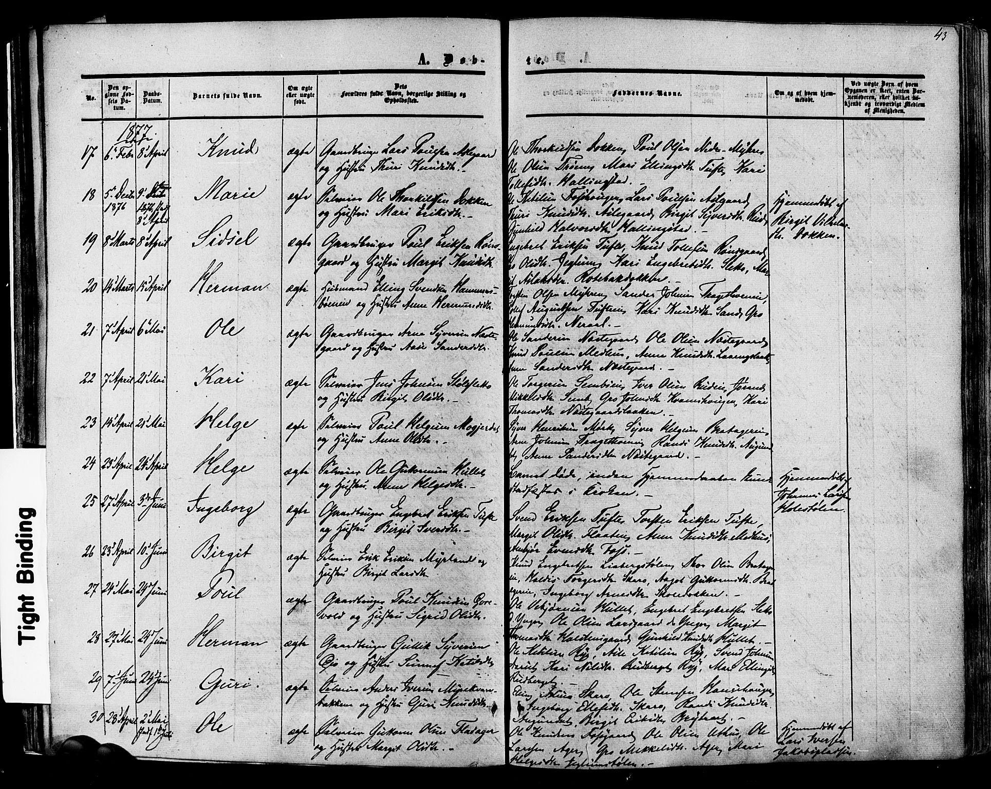 Hol kirkebøker, SAKO/A-227/F/Fa/L0002: Parish register (official) no. I 2, 1870-1886, p. 43