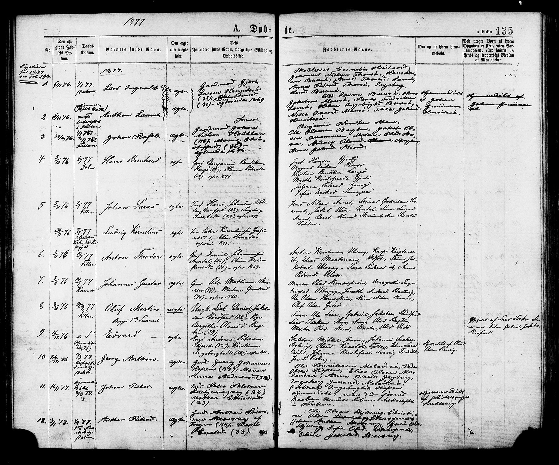 Ministerialprotokoller, klokkerbøker og fødselsregistre - Sør-Trøndelag, SAT/A-1456/634/L0532: Parish register (official) no. 634A08, 1871-1881, p. 135