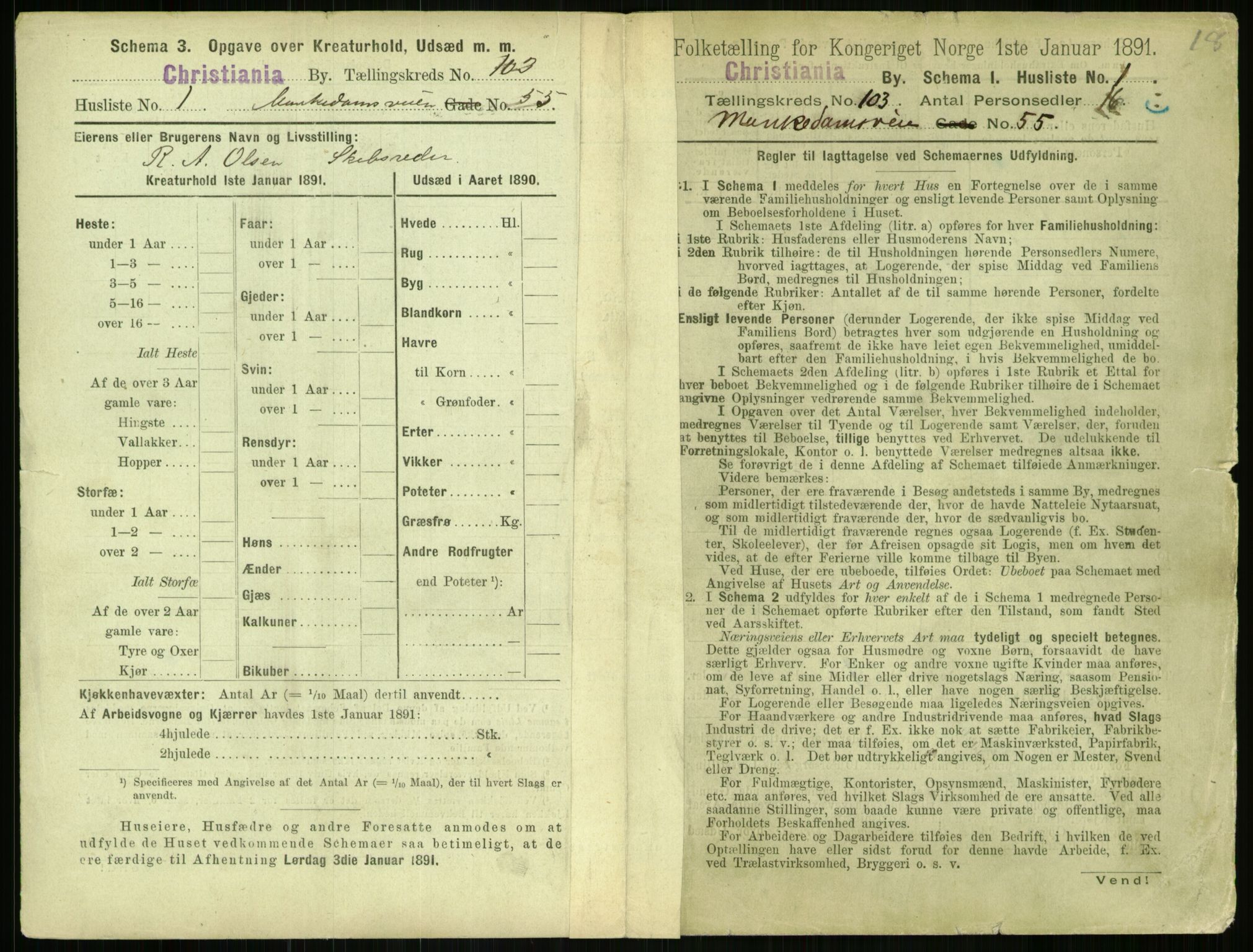 RA, 1891 census for 0301 Kristiania, 1891, p. 51318