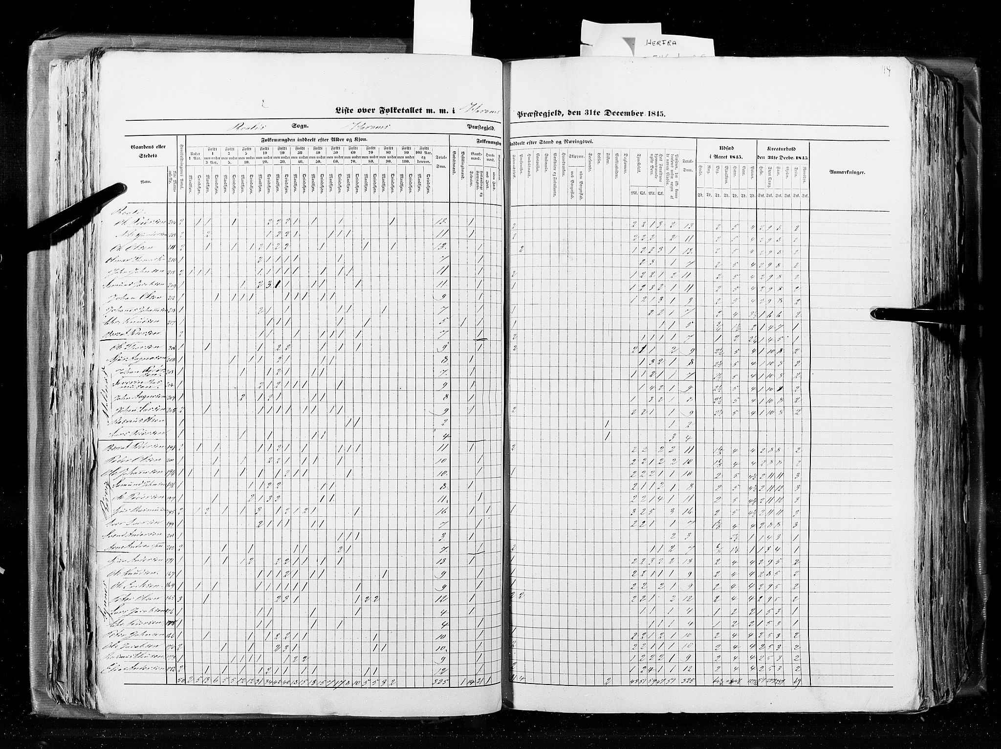 RA, Census 1845, vol. 8: Romsdal amt og Søndre Trondhjems amt, 1845, p. 114