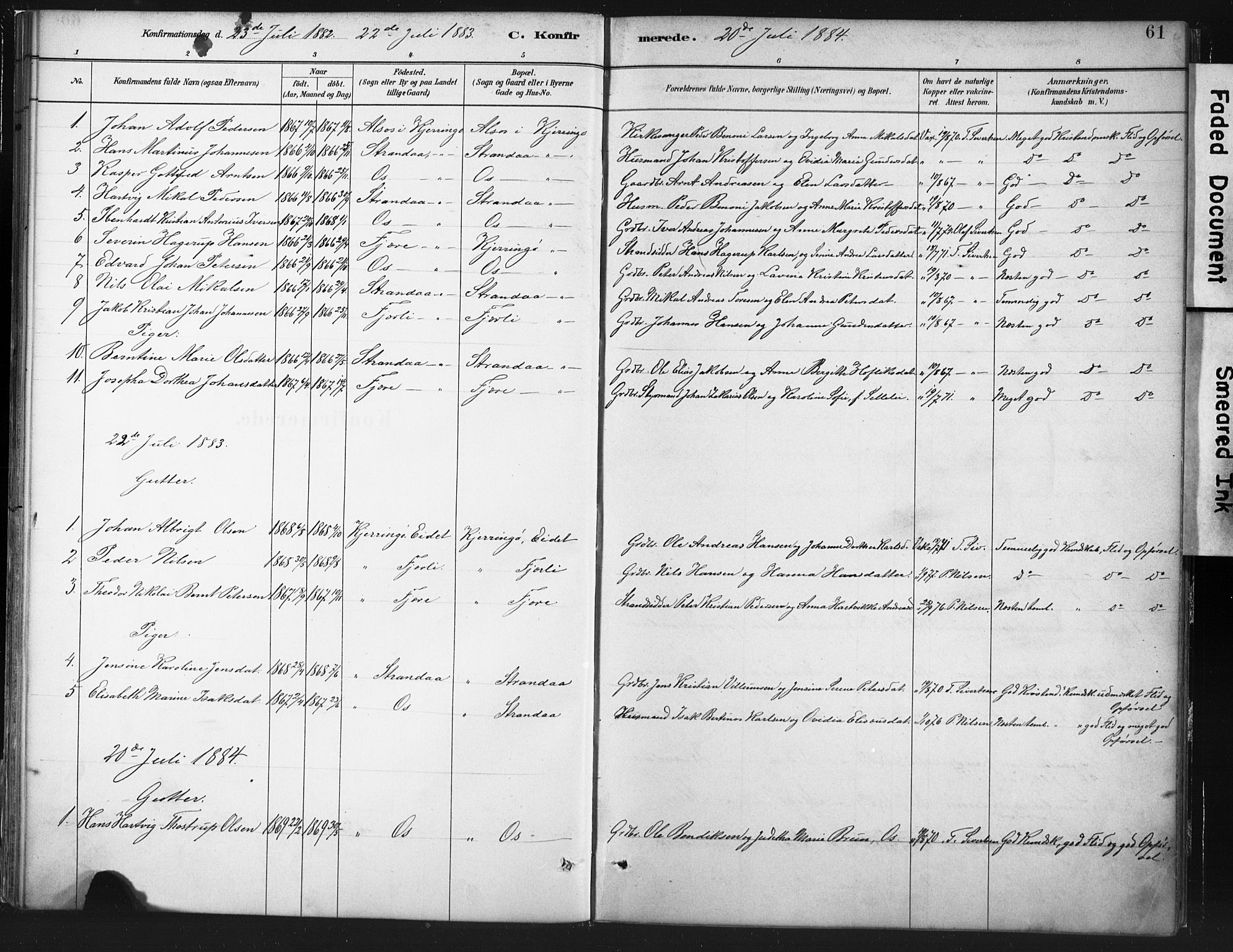 Ministerialprotokoller, klokkerbøker og fødselsregistre - Nordland, SAT/A-1459/803/L0071: Parish register (official) no. 803A01, 1881-1897, p. 61