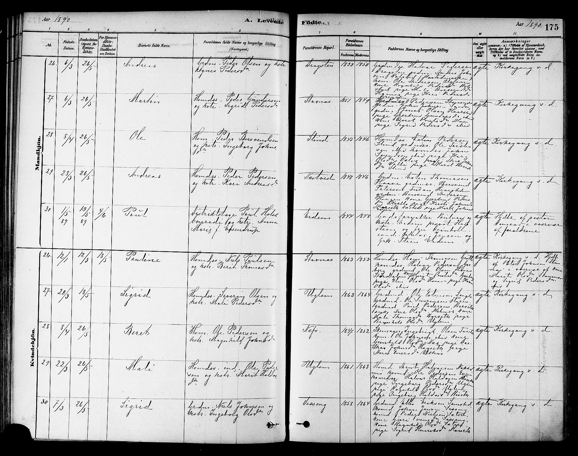 Ministerialprotokoller, klokkerbøker og fødselsregistre - Sør-Trøndelag, AV/SAT-A-1456/695/L1148: Parish register (official) no. 695A08, 1878-1891, p. 175