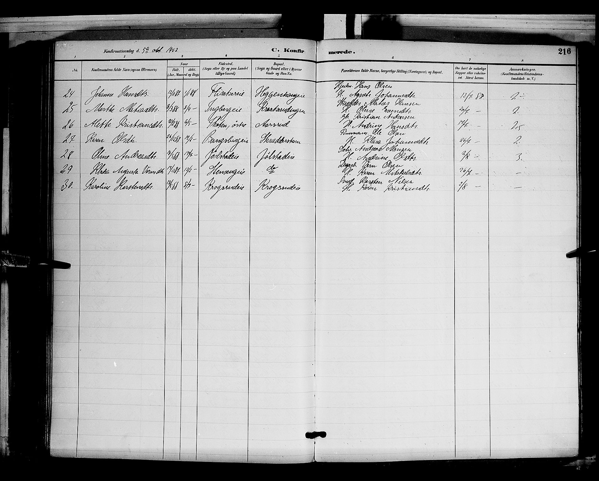 Ringsaker prestekontor, SAH/PREST-014/L/La/L0012: Parish register (copy) no. 12, 1891-1902, p. 216