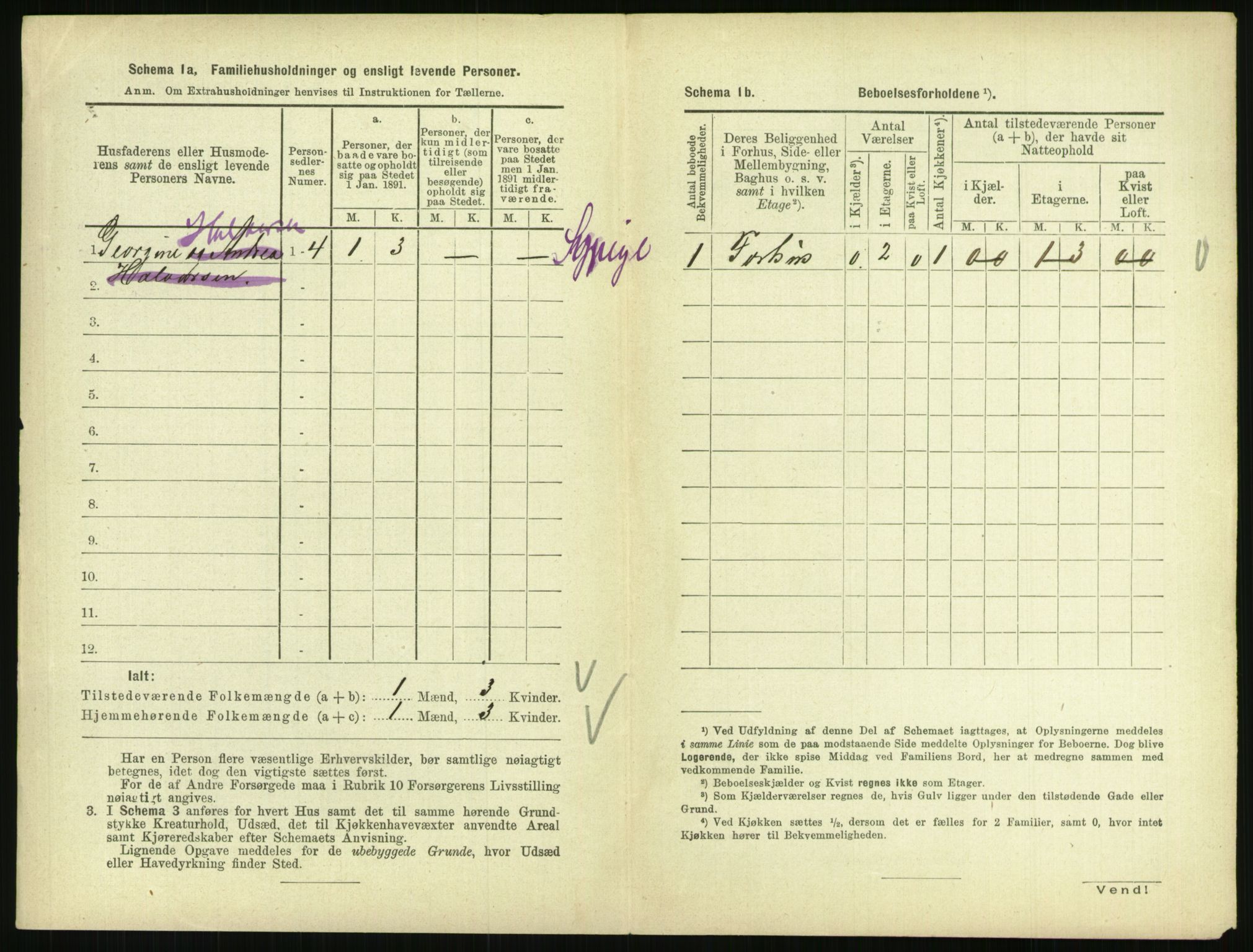 RA, 1891 census for 0801 Kragerø, 1891, p. 1041