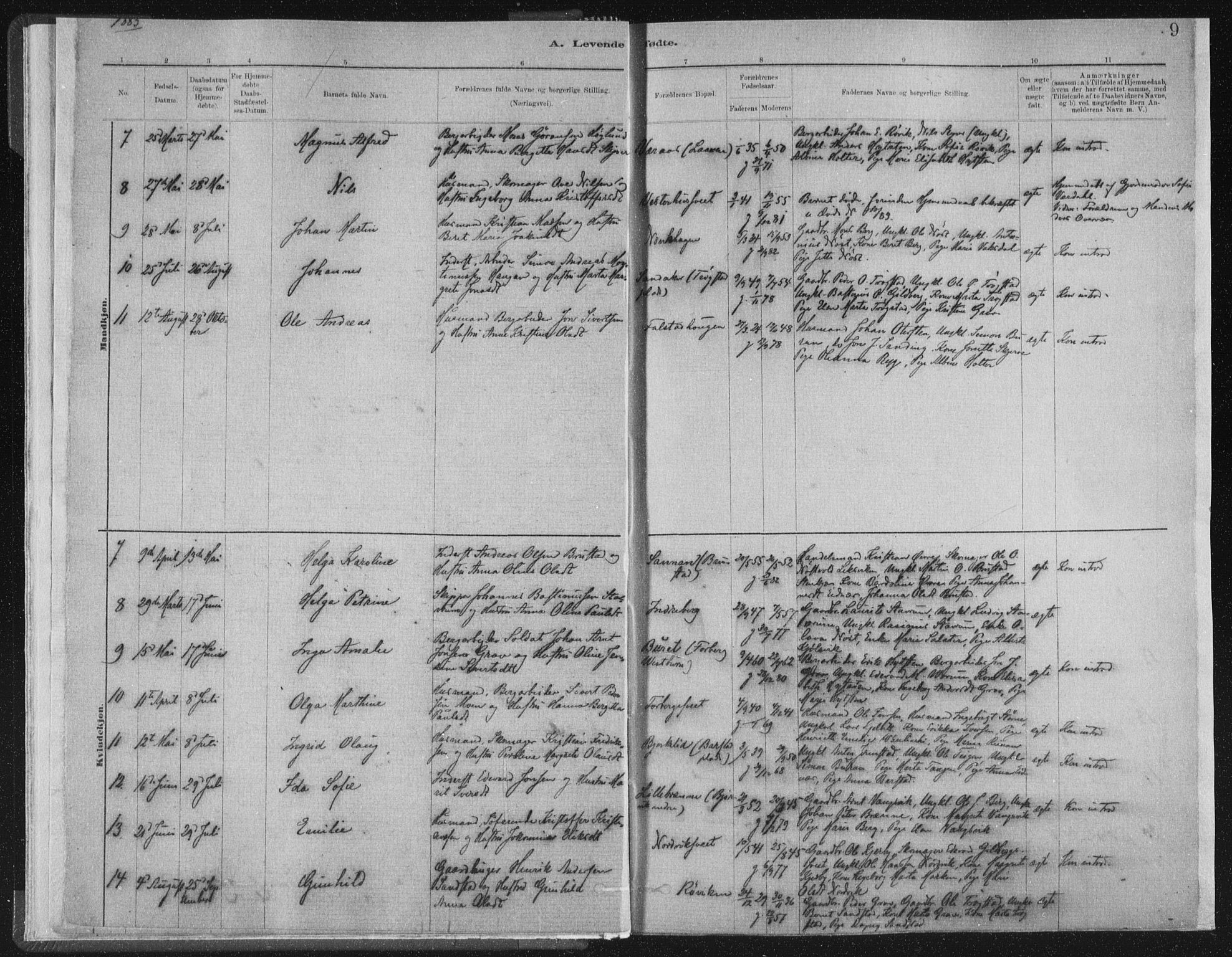 Ministerialprotokoller, klokkerbøker og fødselsregistre - Nord-Trøndelag, SAT/A-1458/722/L0220: Parish register (official) no. 722A07, 1881-1908, p. 9