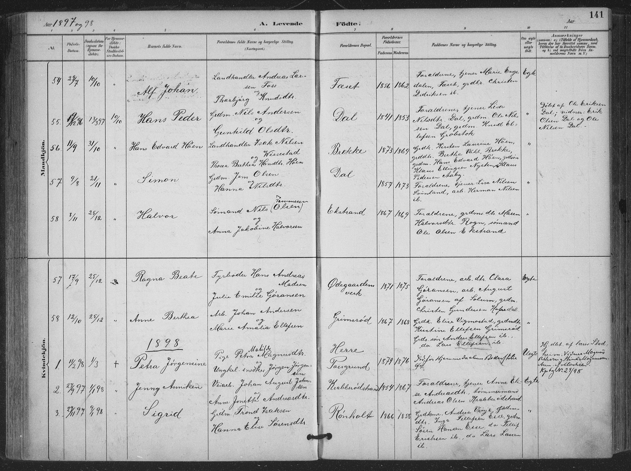 Bamble kirkebøker, SAKO/A-253/F/Fa/L0008: Parish register (official) no. I 8, 1888-1900, p. 141