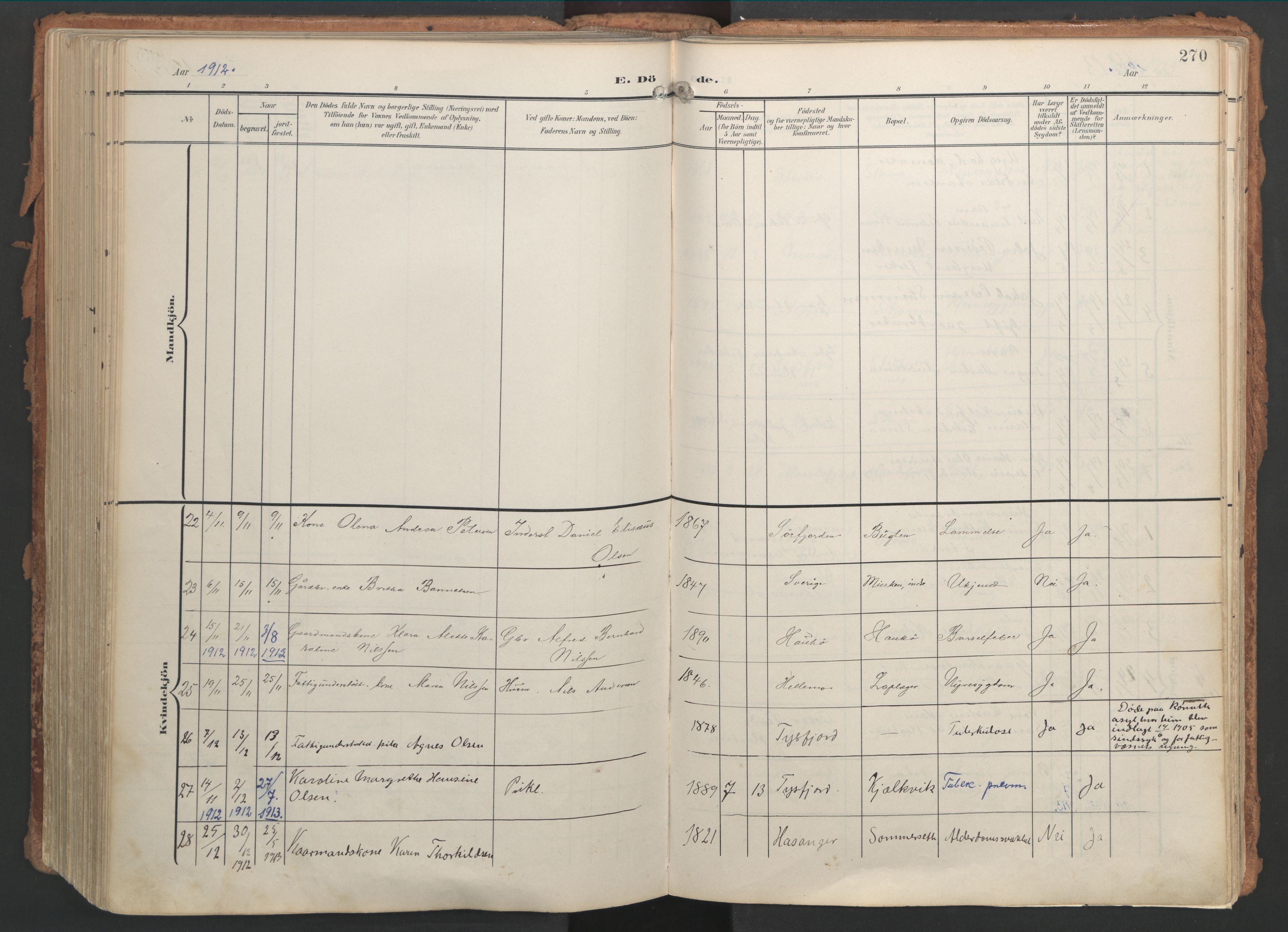 Ministerialprotokoller, klokkerbøker og fødselsregistre - Nordland, AV/SAT-A-1459/861/L0871: Parish register (official) no. 861A06, 1903-1916, p. 270