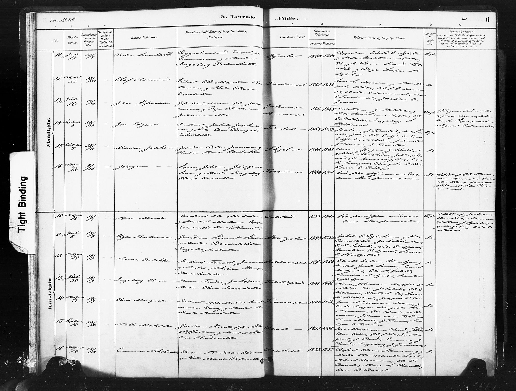 Ministerialprotokoller, klokkerbøker og fødselsregistre - Nord-Trøndelag, SAT/A-1458/736/L0361: Parish register (official) no. 736A01, 1884-1906, p. 6