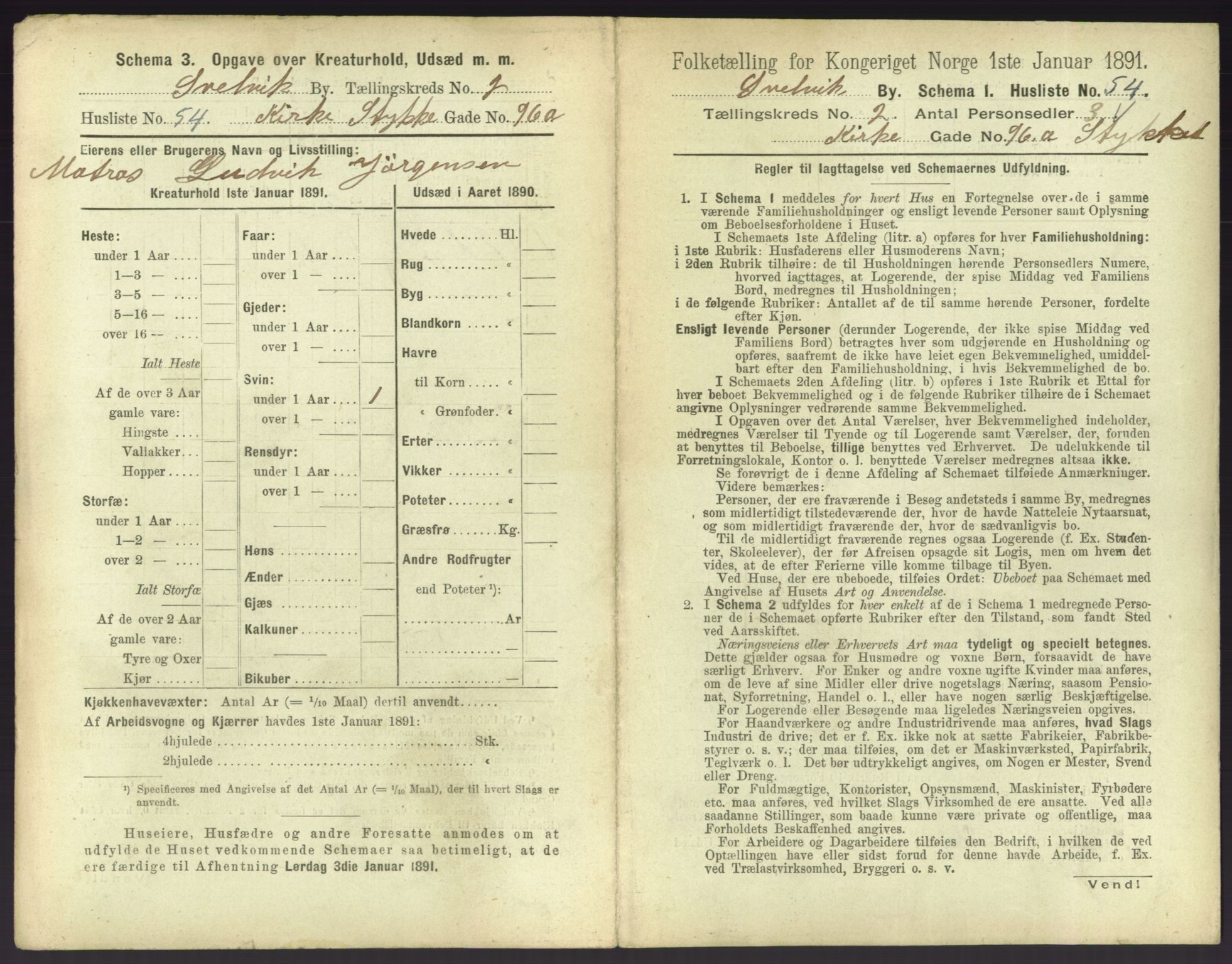 RA, 1891 census for 0701 Svelvik, 1891, p. 234