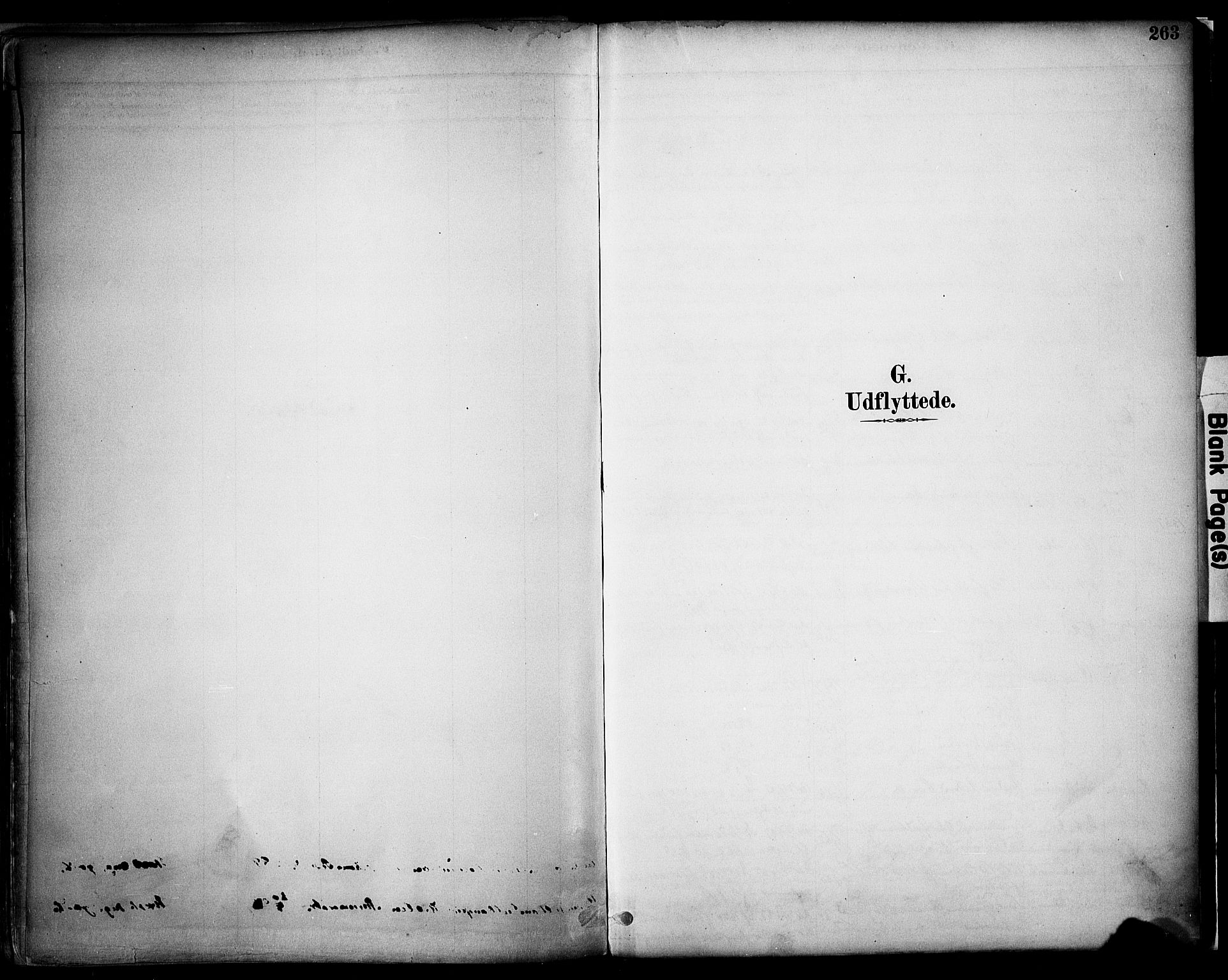 Sør-Odal prestekontor, AV/SAH-PREST-030/H/Ha/Haa/L0008: Parish register (official) no. 8, 1886-1922, p. 263