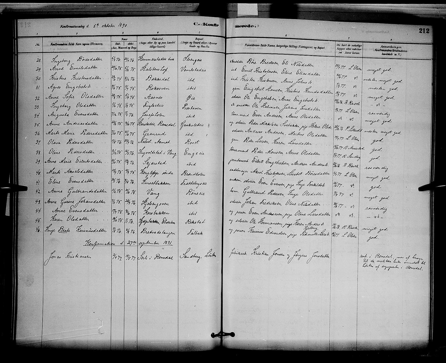 Løten prestekontor, SAH/PREST-022/L/La/L0005: Parish register (copy) no. 5, 1878-1891, p. 212