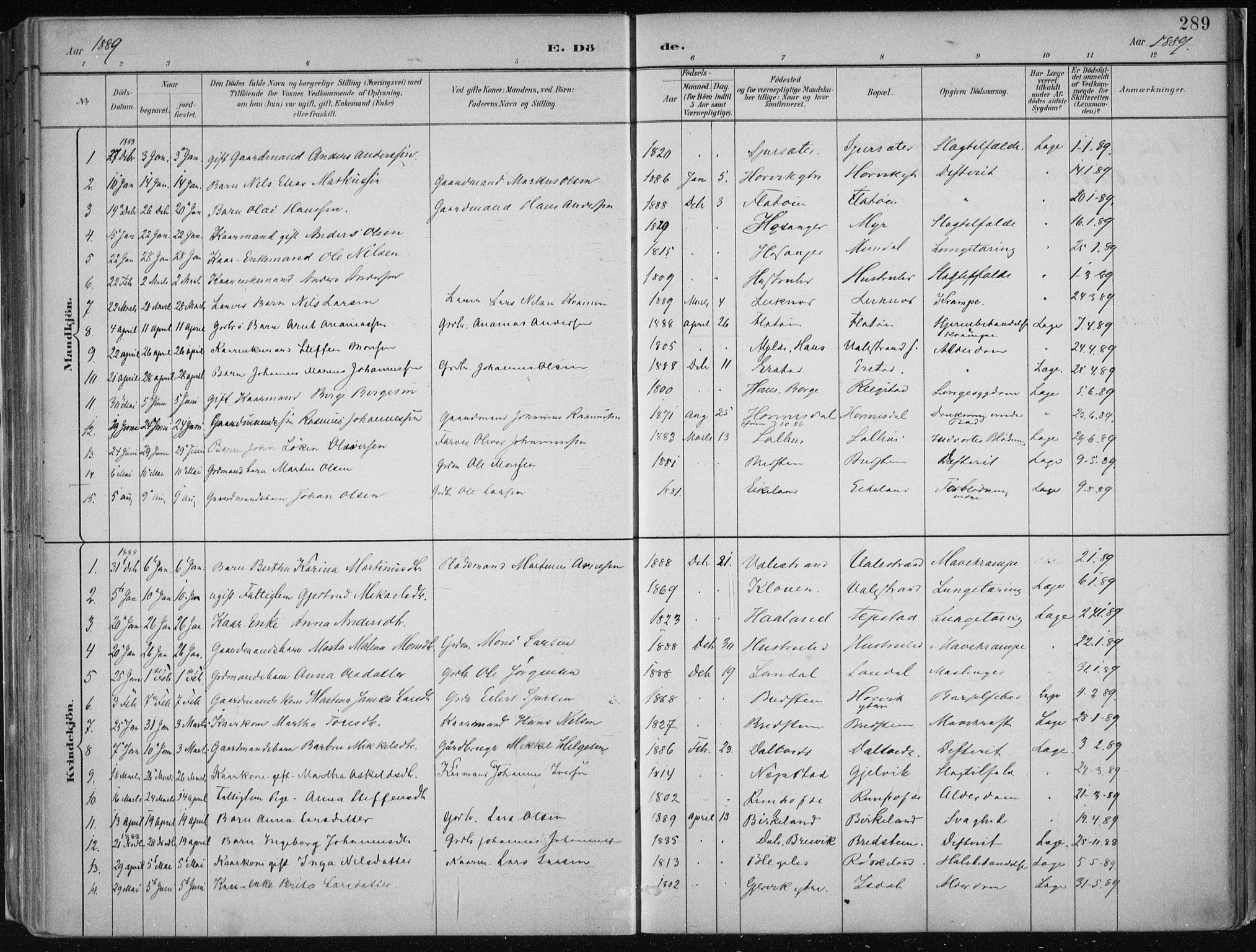 Hamre sokneprestembete, SAB/A-75501/H/Ha/Haa/Haab/L0001: Parish register (official) no. B  1, 1882-1905, p. 289