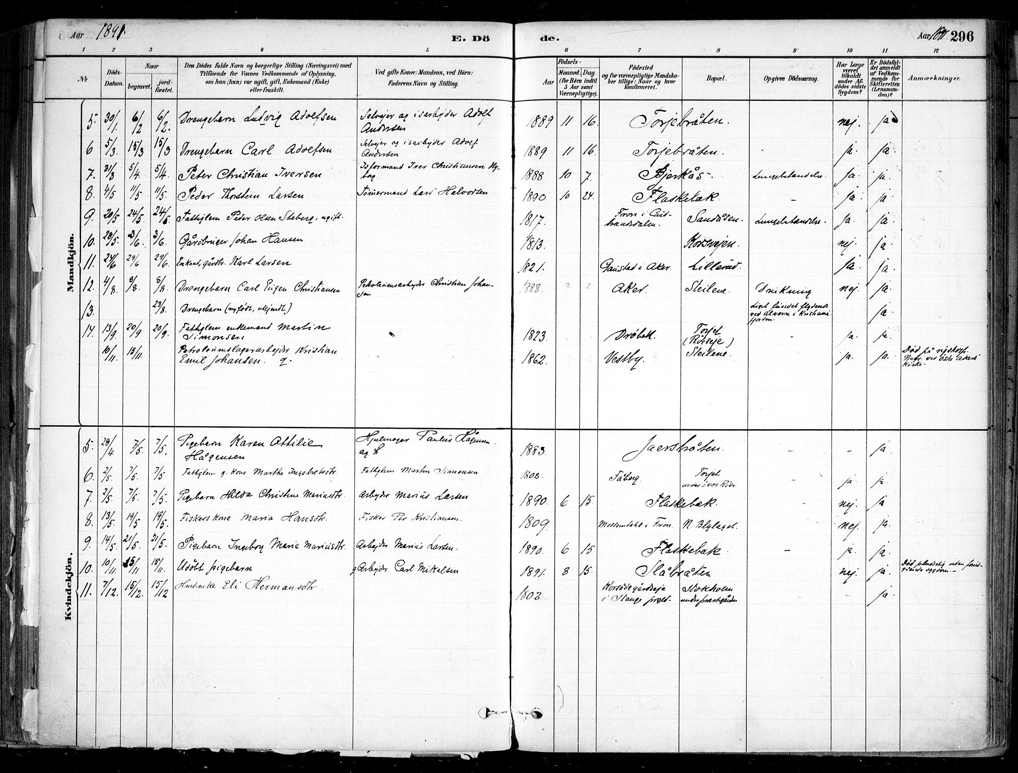 Nesodden prestekontor Kirkebøker, SAO/A-10013/F/Fa/L0009: Parish register (official) no. I 9, 1880-1915, p. 296