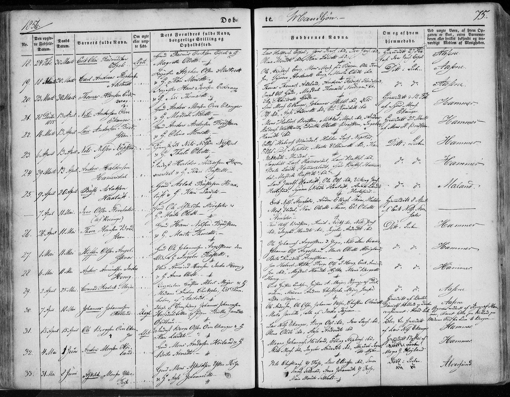 Hamre sokneprestembete, SAB/A-75501/H/Ha/Haa/Haaa/L0013: Parish register (official) no. A 13, 1846-1857, p. 75