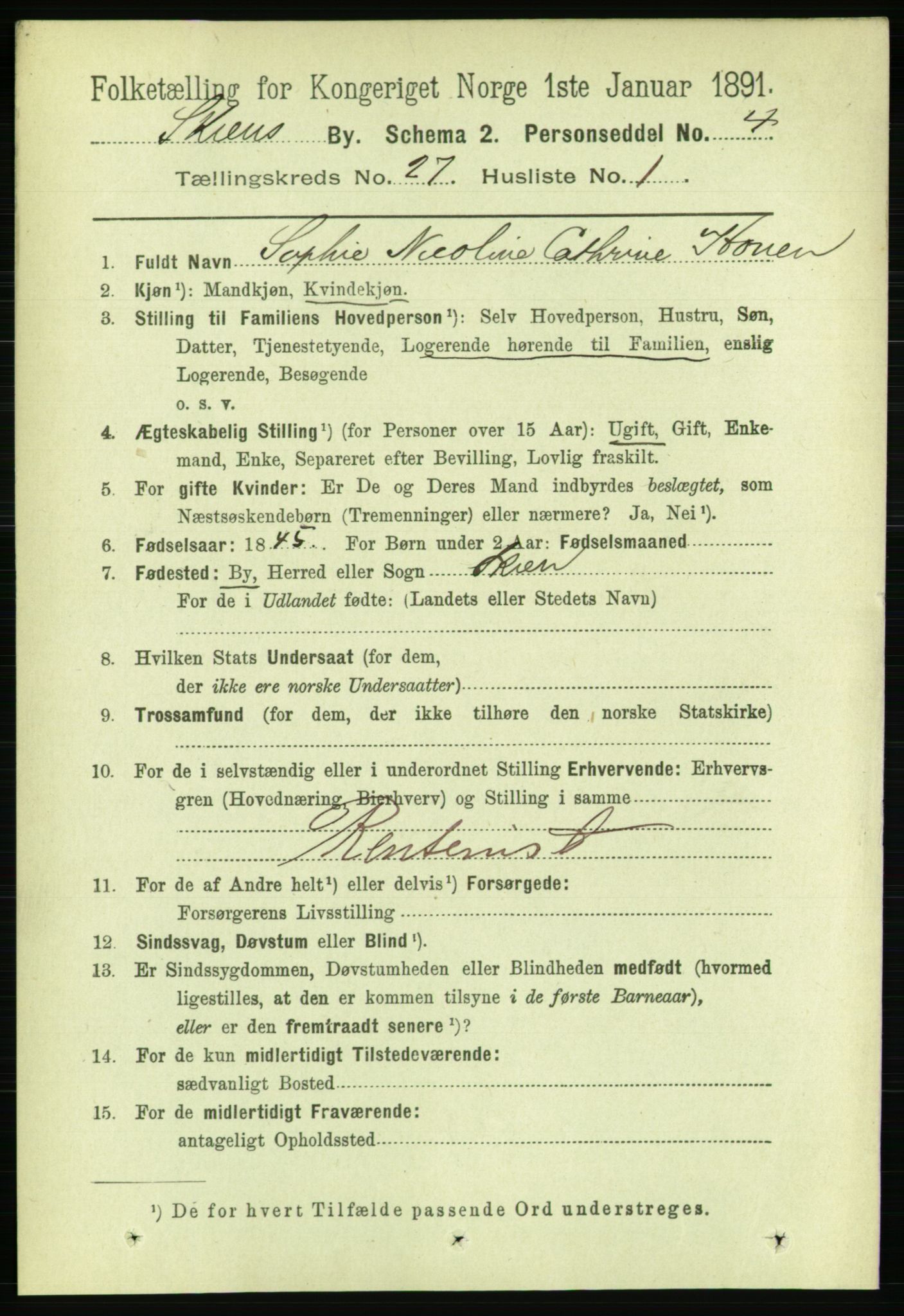 RA, 1891 census for 0806 Skien, 1891, p. 6337