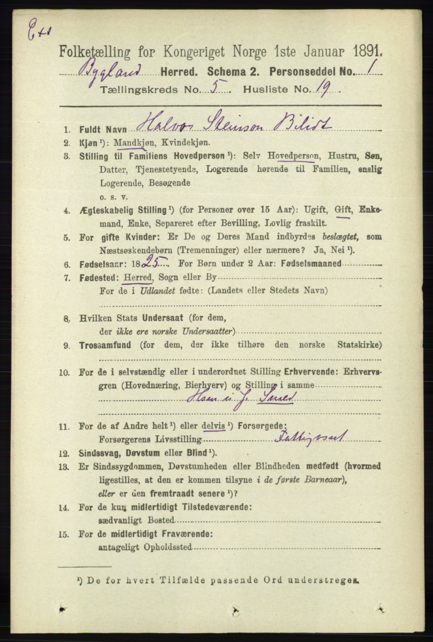 RA, Census 1891 for Nedenes amt: Gjenparter av personsedler for beslektede ektefeller, menn, 1891, p. 1029