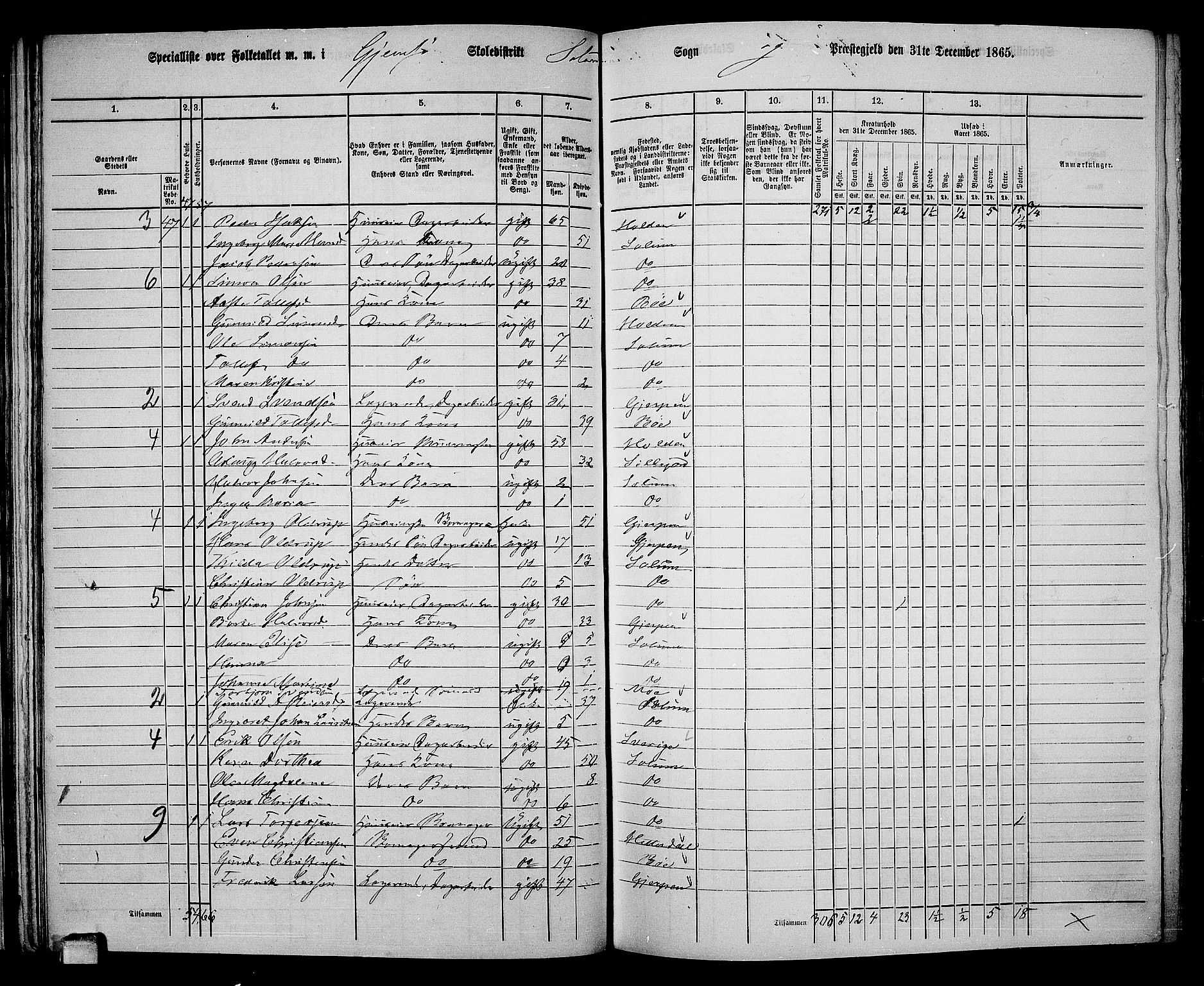 RA, 1865 census for Solum, 1865, p. 56