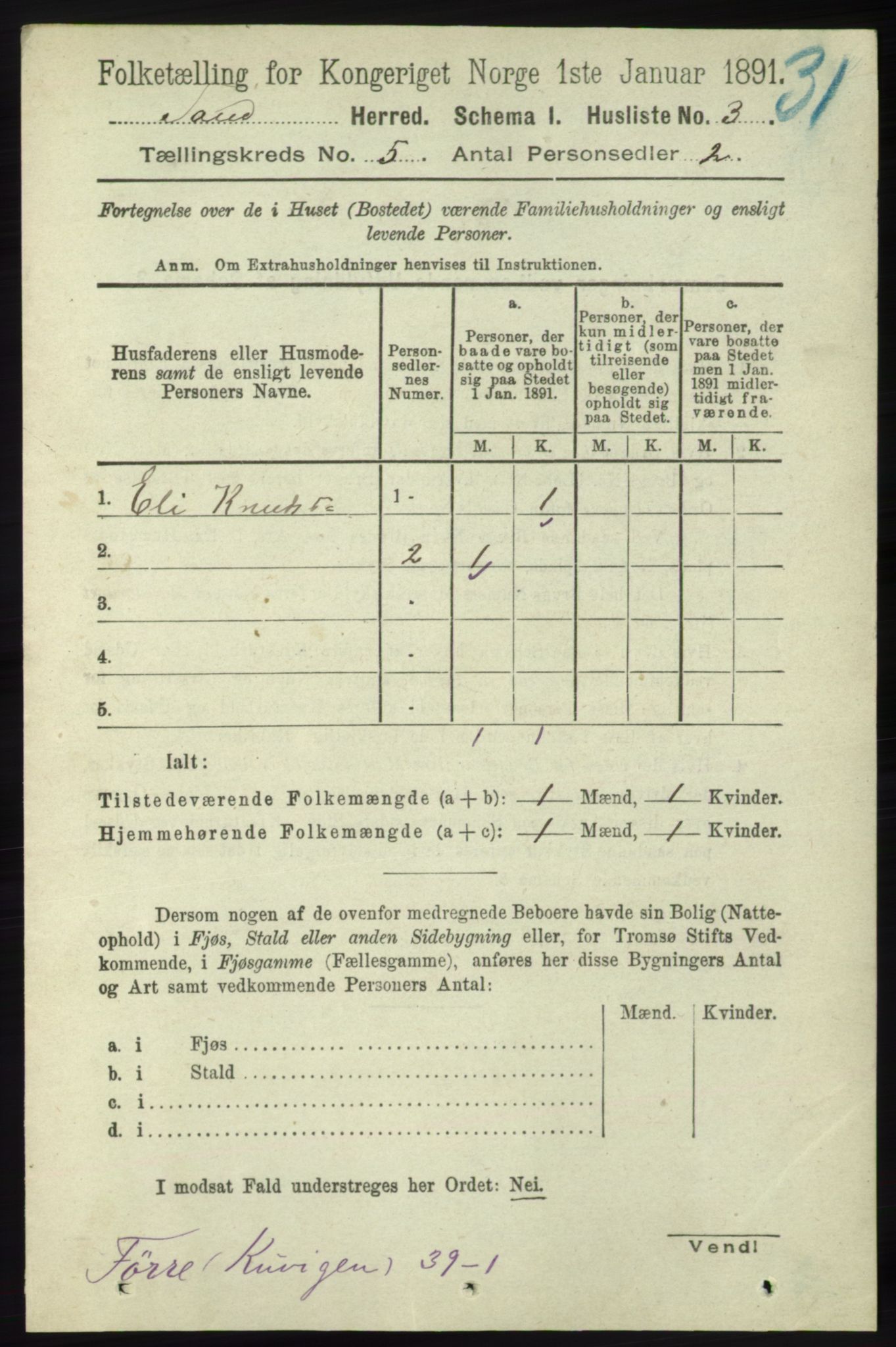 RA, 1891 census for 1136 Sand, 1891, p. 1487