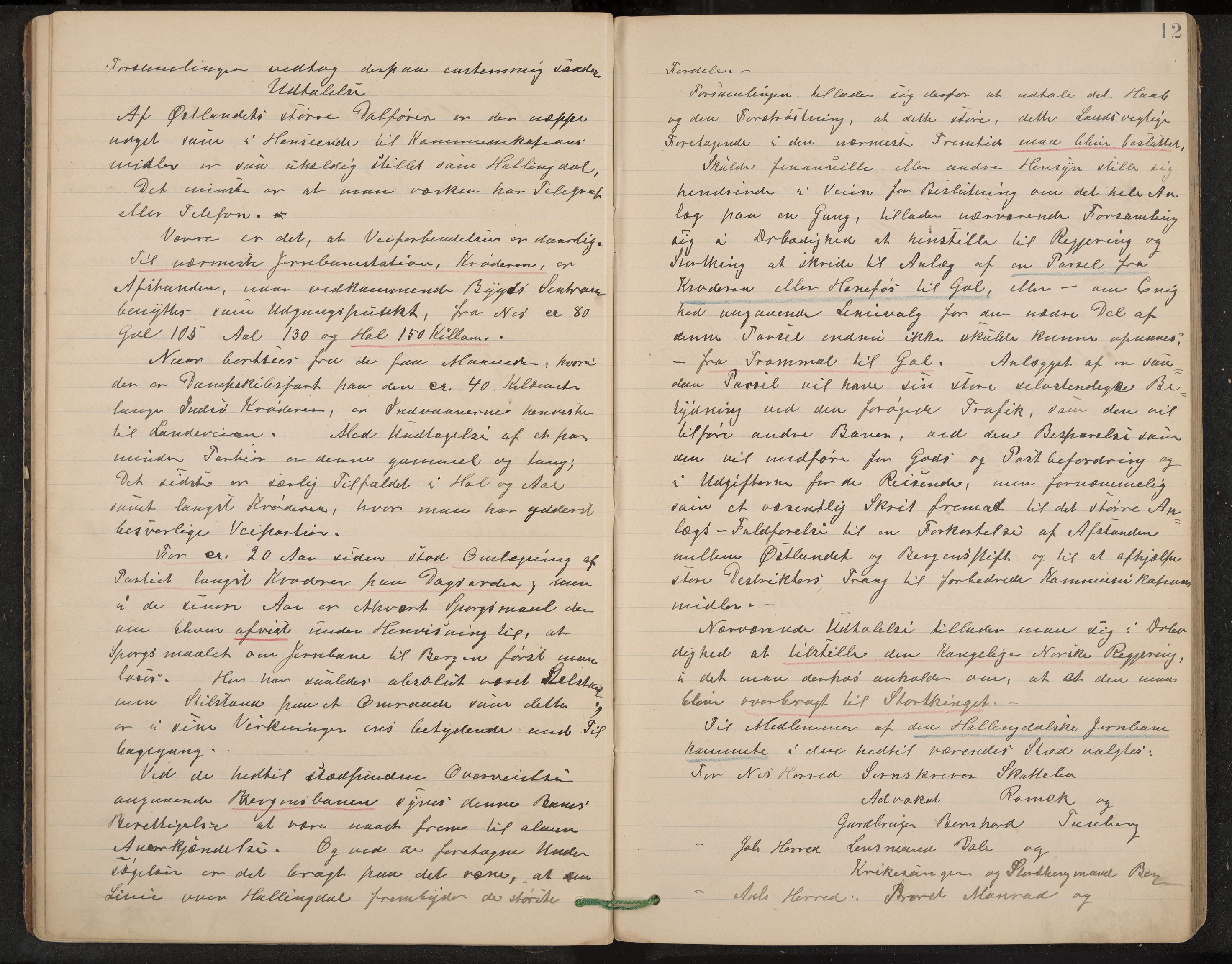 Hol formannskap og sentraladministrasjon, IKAK/0620021-1/A/L0002: Møtebok, 1893-1897, p. 12