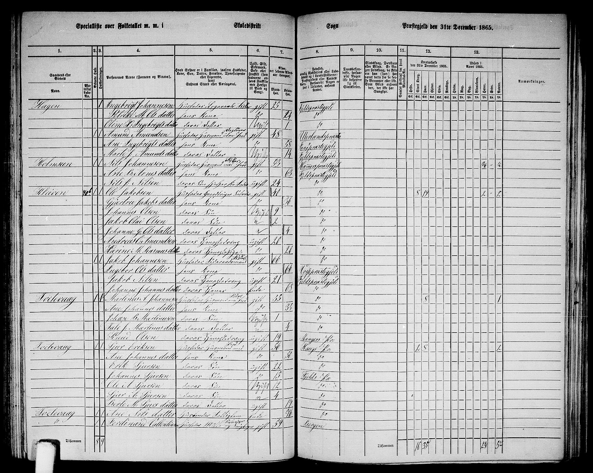 RA, 1865 census for Fjell, 1865, p. 155