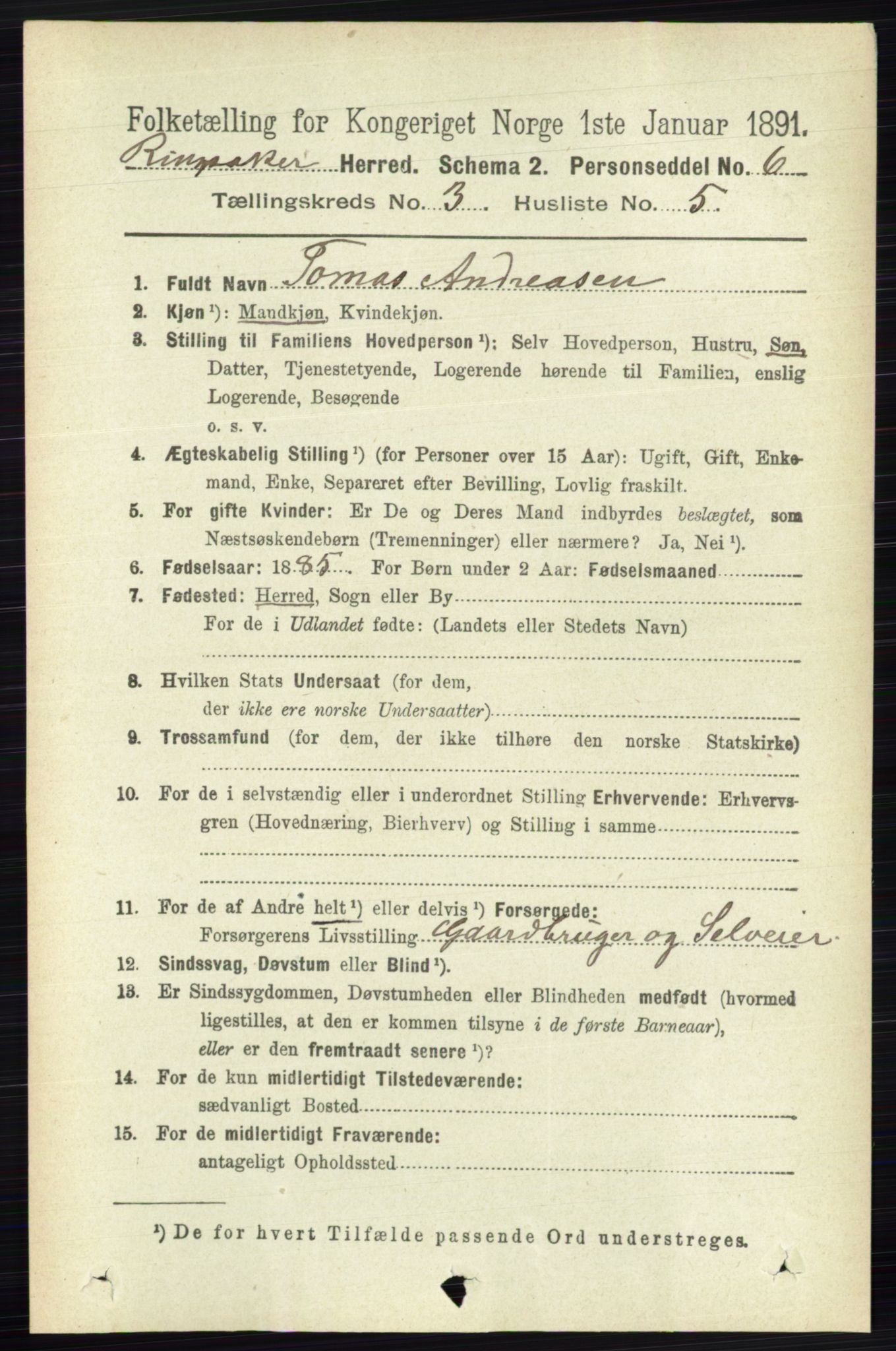 RA, 1891 census for 0412 Ringsaker, 1891, p. 1269