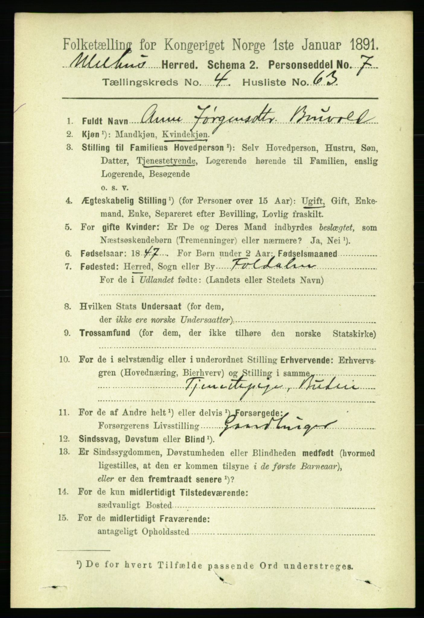 RA, 1891 census for 1653 Melhus, 1891, p. 2291