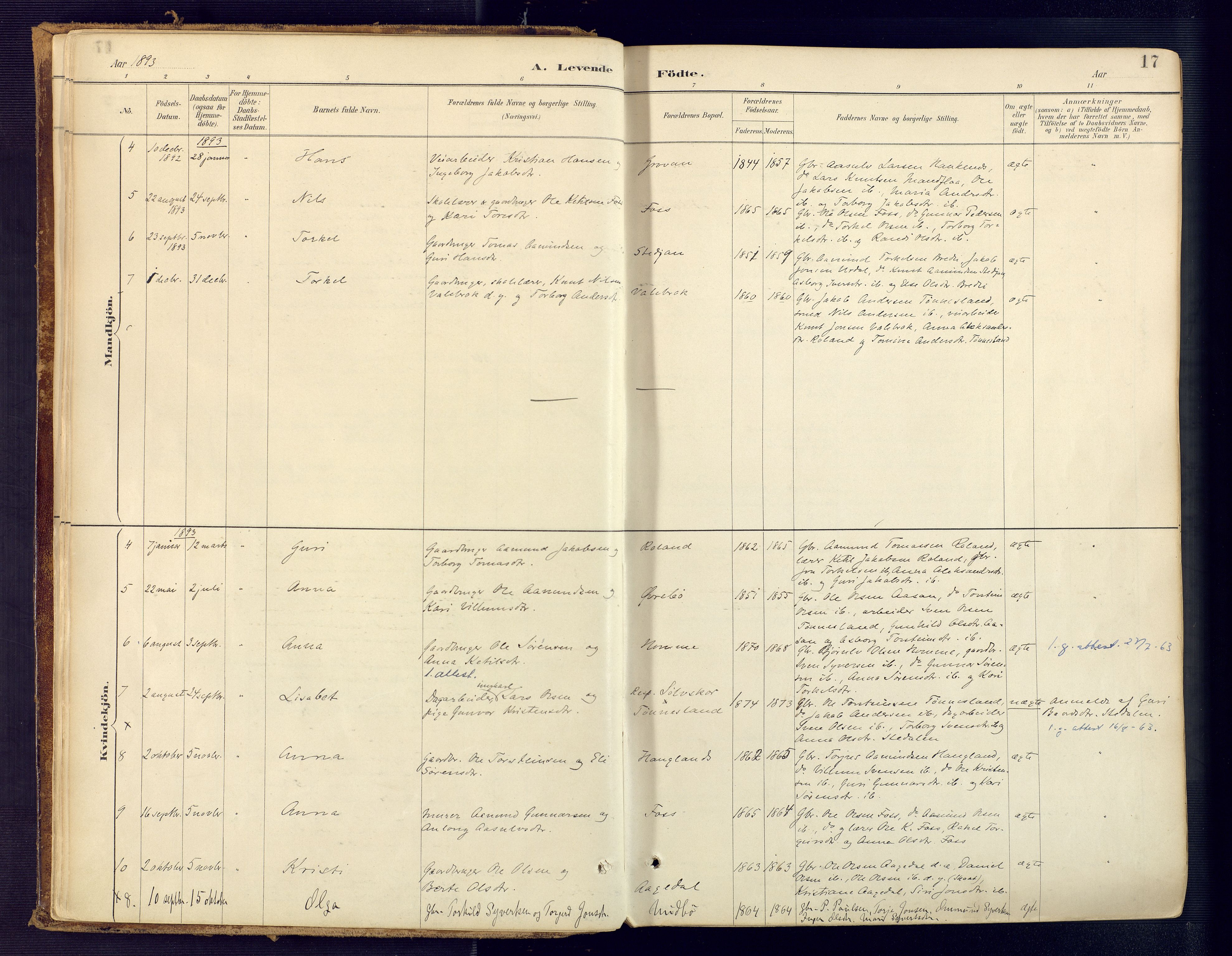 Bjelland sokneprestkontor, AV/SAK-1111-0005/F/Fa/Faa/L0004: Parish register (official) no. A 4, 1887-1923, p. 17