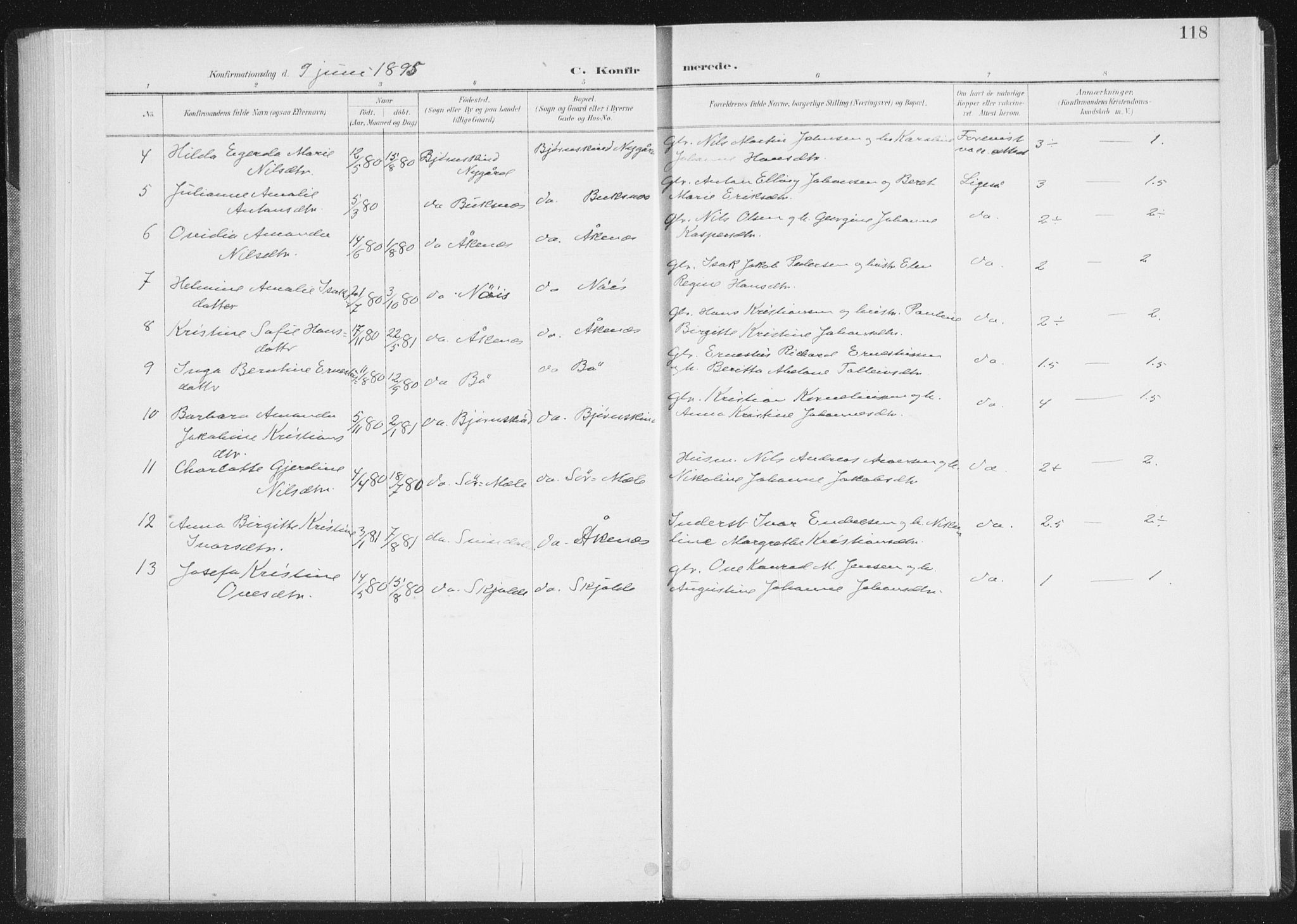 Ministerialprotokoller, klokkerbøker og fødselsregistre - Nordland, AV/SAT-A-1459/898/L1422: Parish register (official) no. 898A02, 1887-1908, p. 118