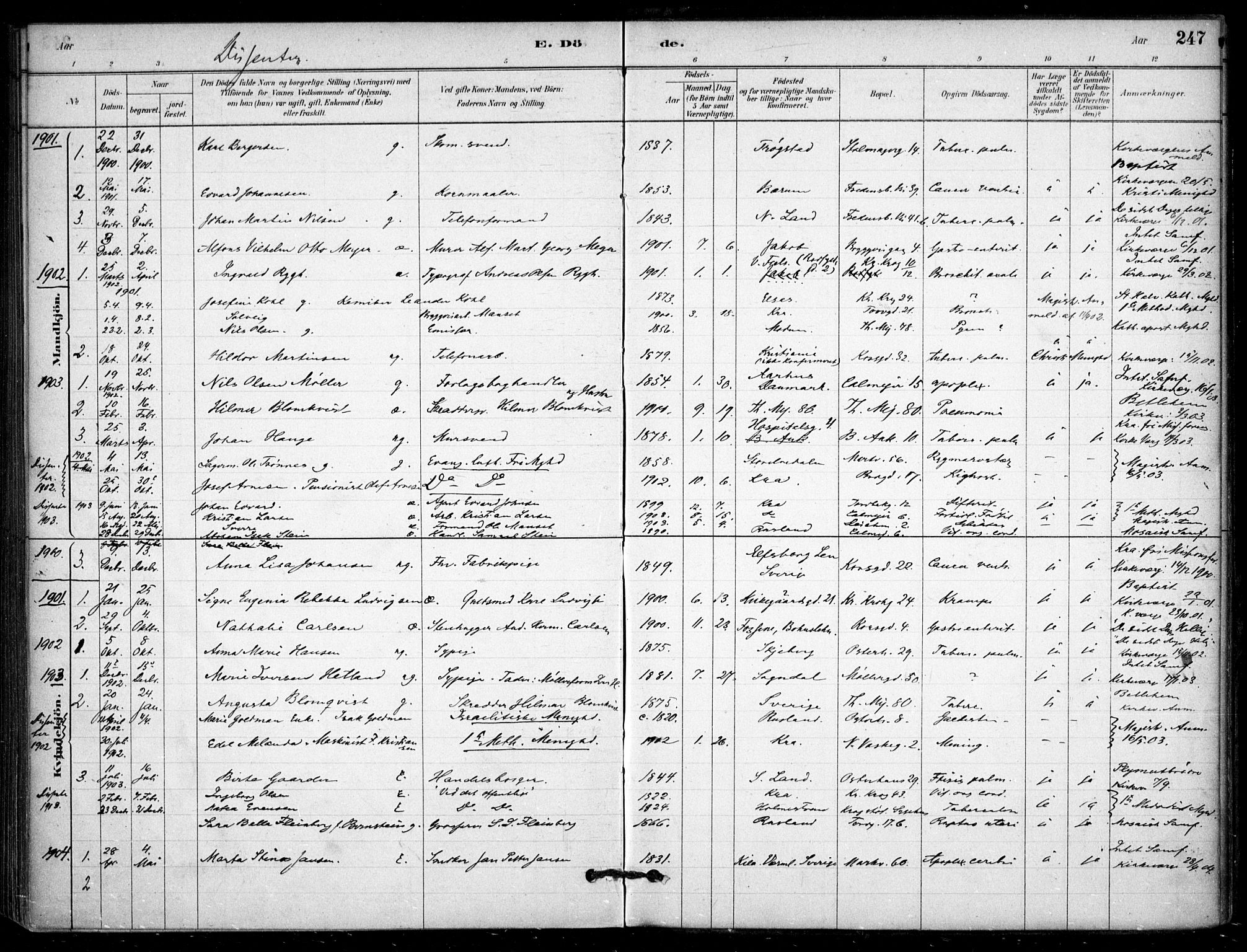 Jakob prestekontor Kirkebøker, SAO/A-10850/F/Fa/L0007: Parish register (official) no. 7, 1880-1905, p. 247