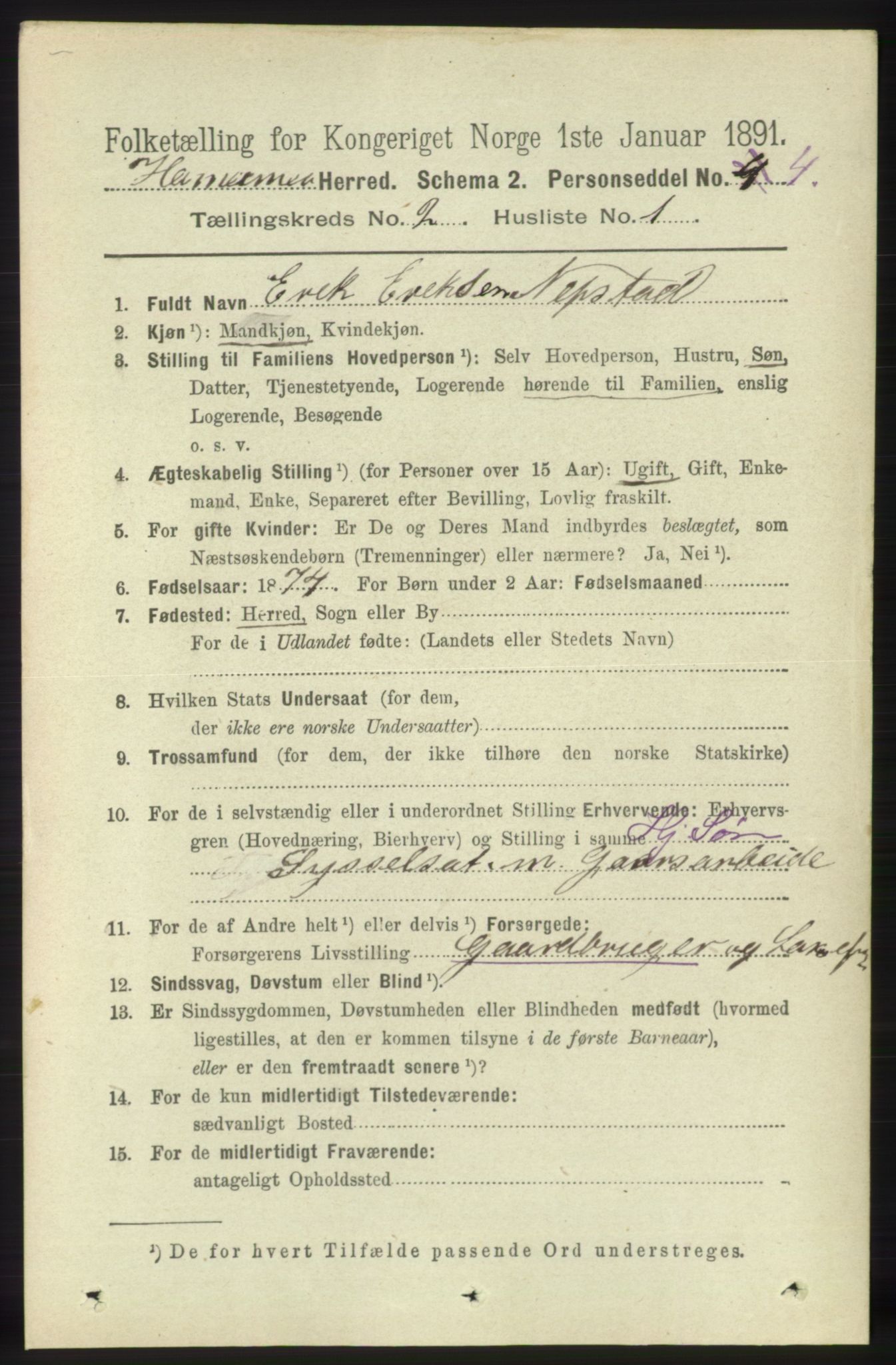 RA, 1891 census for 1254 Hamre, 1891, p. 228