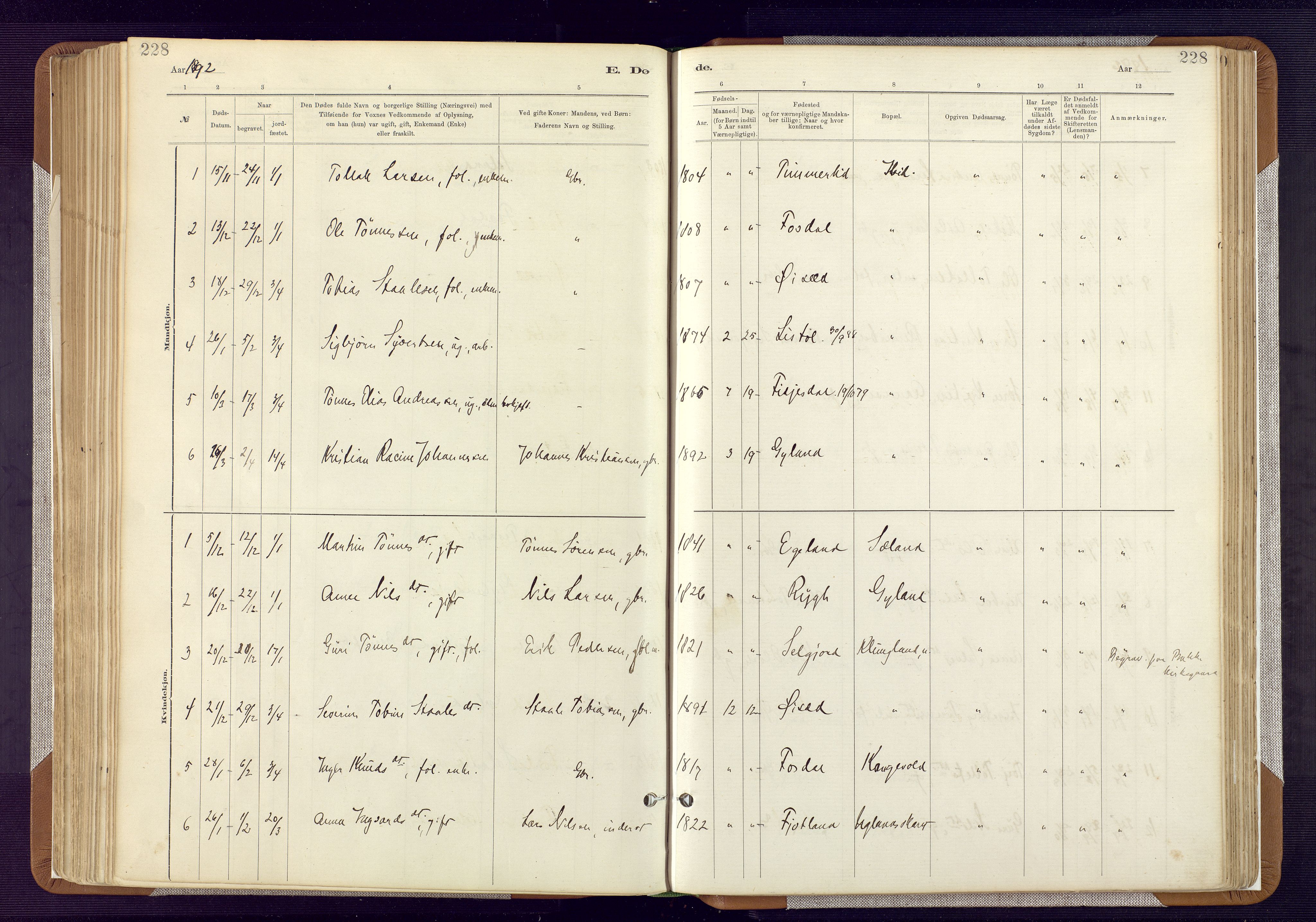 Bakke sokneprestkontor, SAK/1111-0002/F/Fa/Fab/L0003: Parish register (official) no. A 3, 1884-1921, p. 228