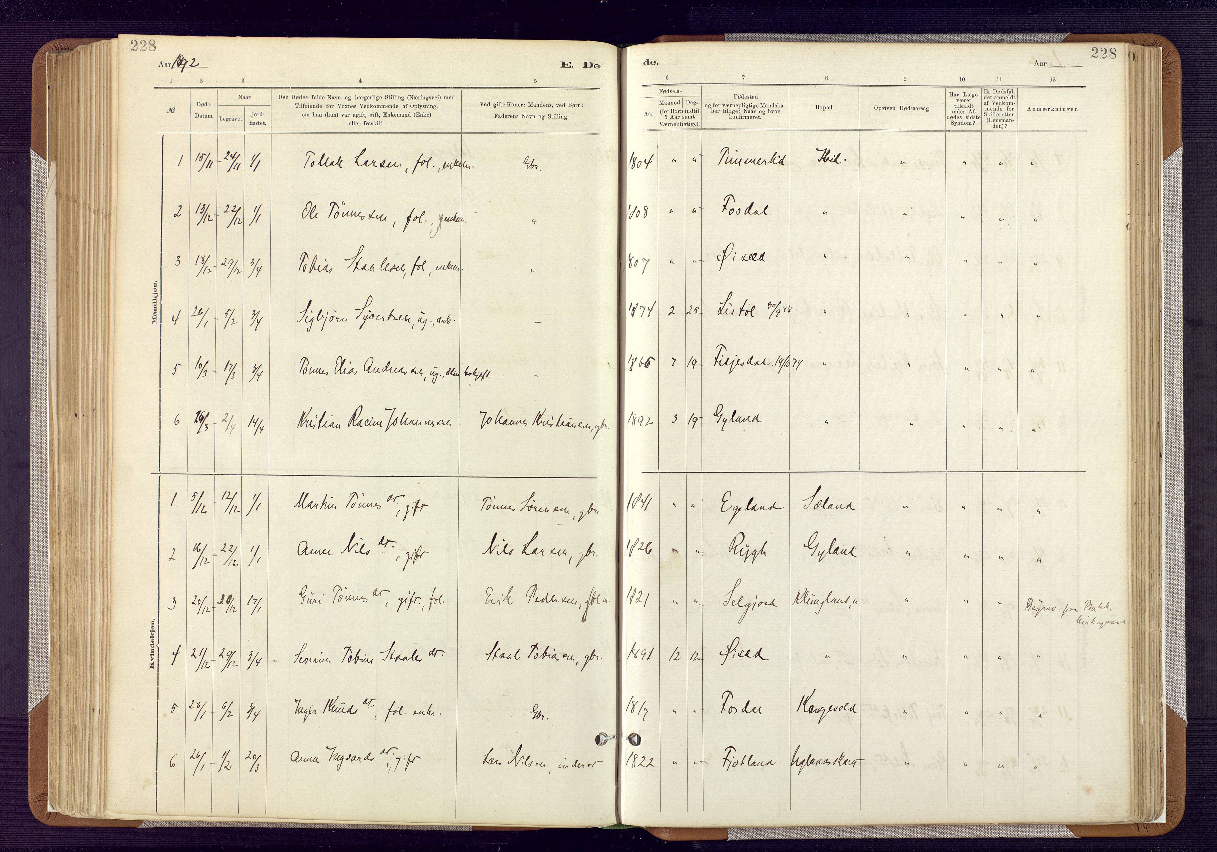 Bakke sokneprestkontor, AV/SAK-1111-0002/F/Fa/Fab/L0003: Parish register (official) no. A 3, 1884-1921, p. 228