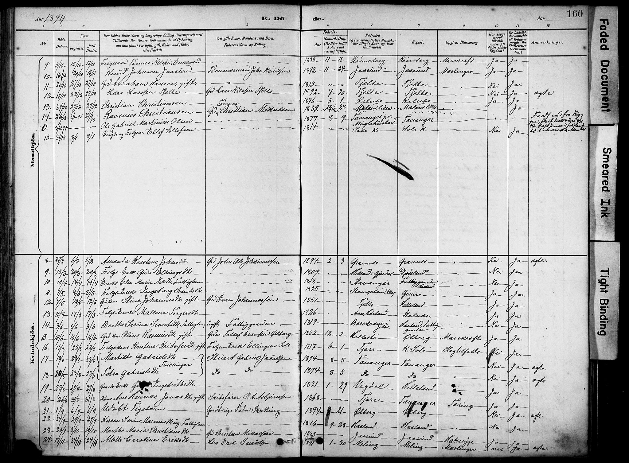 Håland sokneprestkontor, AV/SAST-A-101802/001/30BA/L0012: Parish register (official) no. A 11, 1889-1900, p. 160