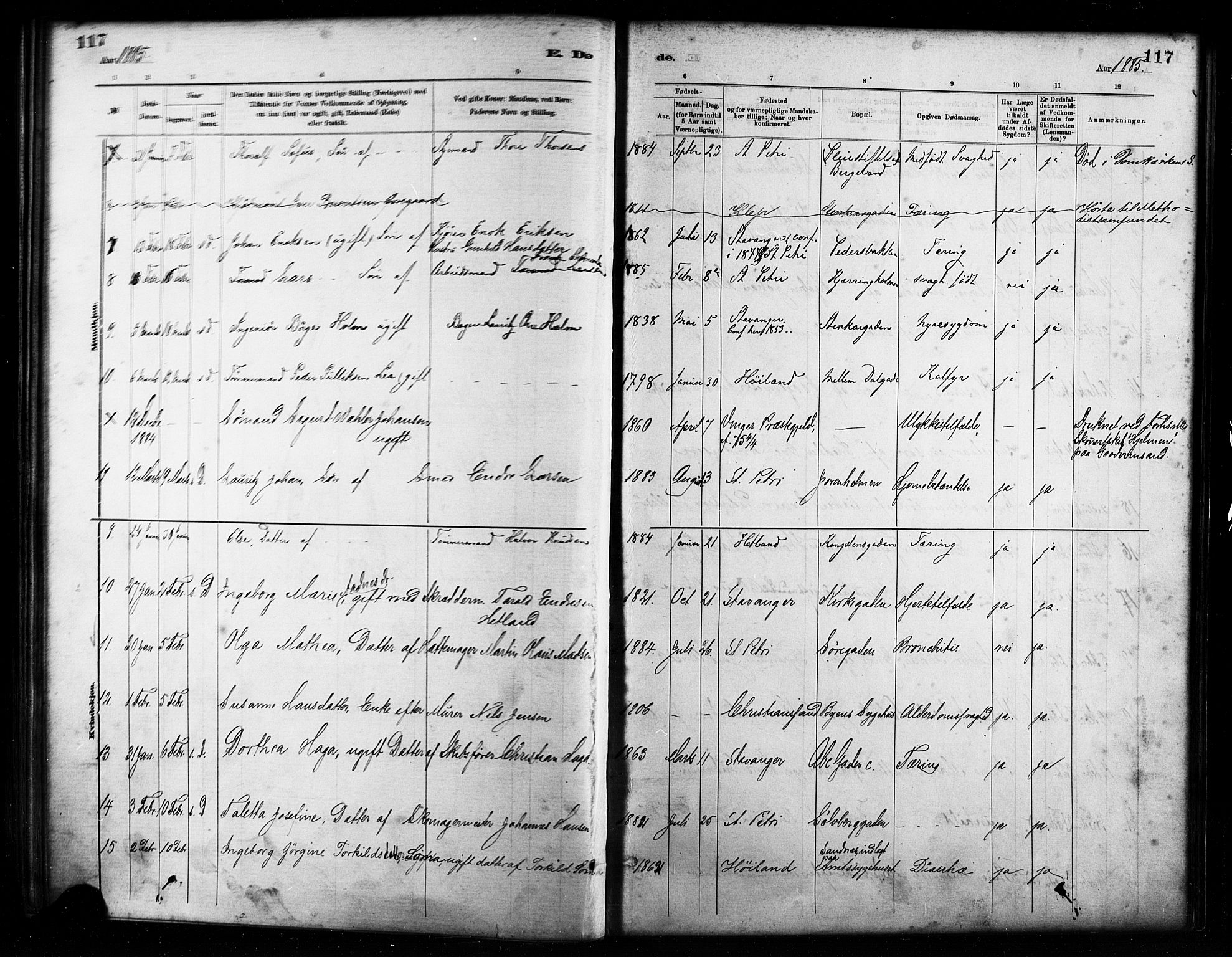 St. Petri sokneprestkontor, AV/SAST-A-101813/001/30/30BA/L0017: Parish register (official) no. A 17, 1879-1895, p. 117