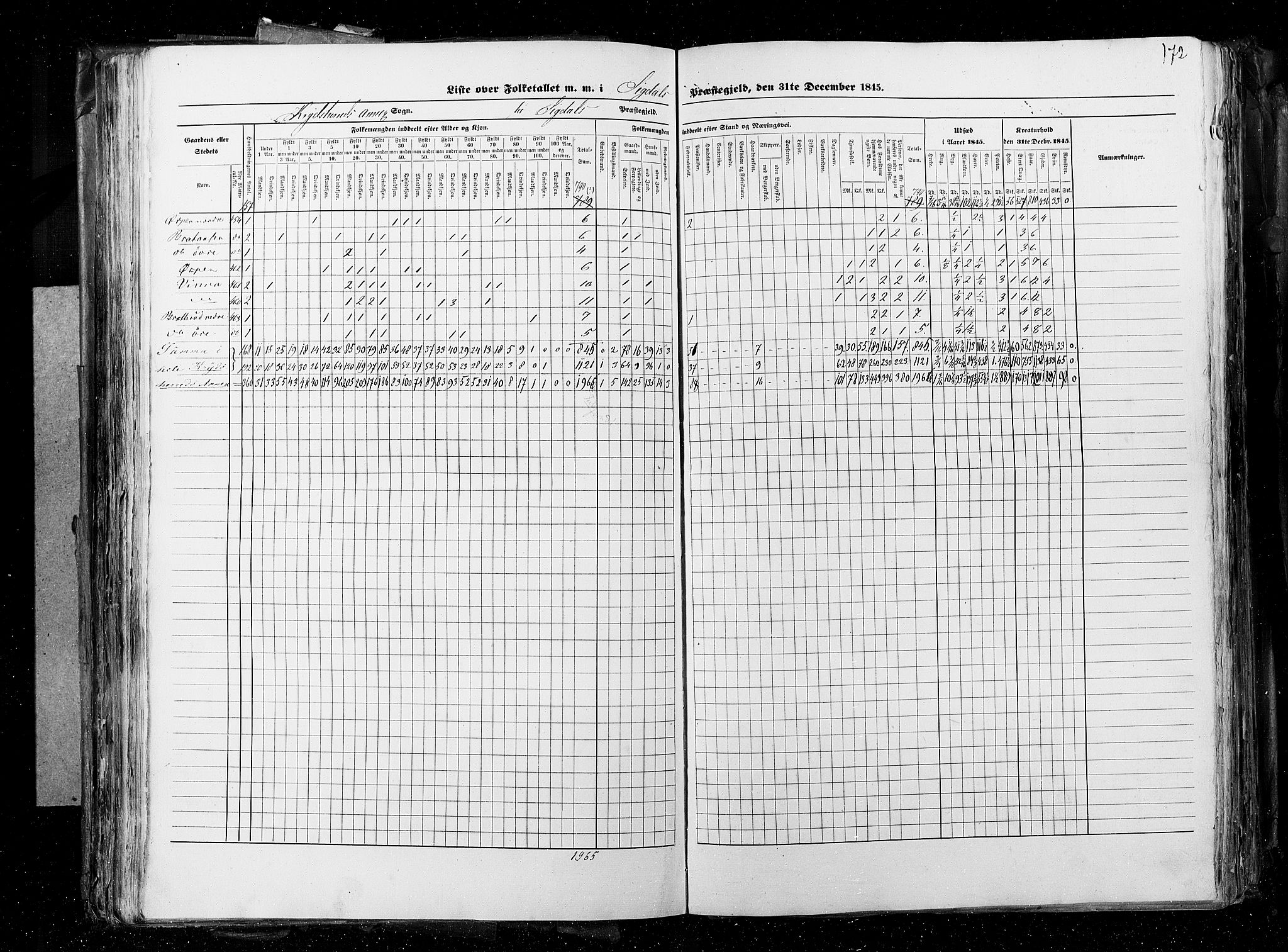 RA, Census 1845, vol. 4: Buskerud amt og Jarlsberg og Larvik amt, 1845, p. 172