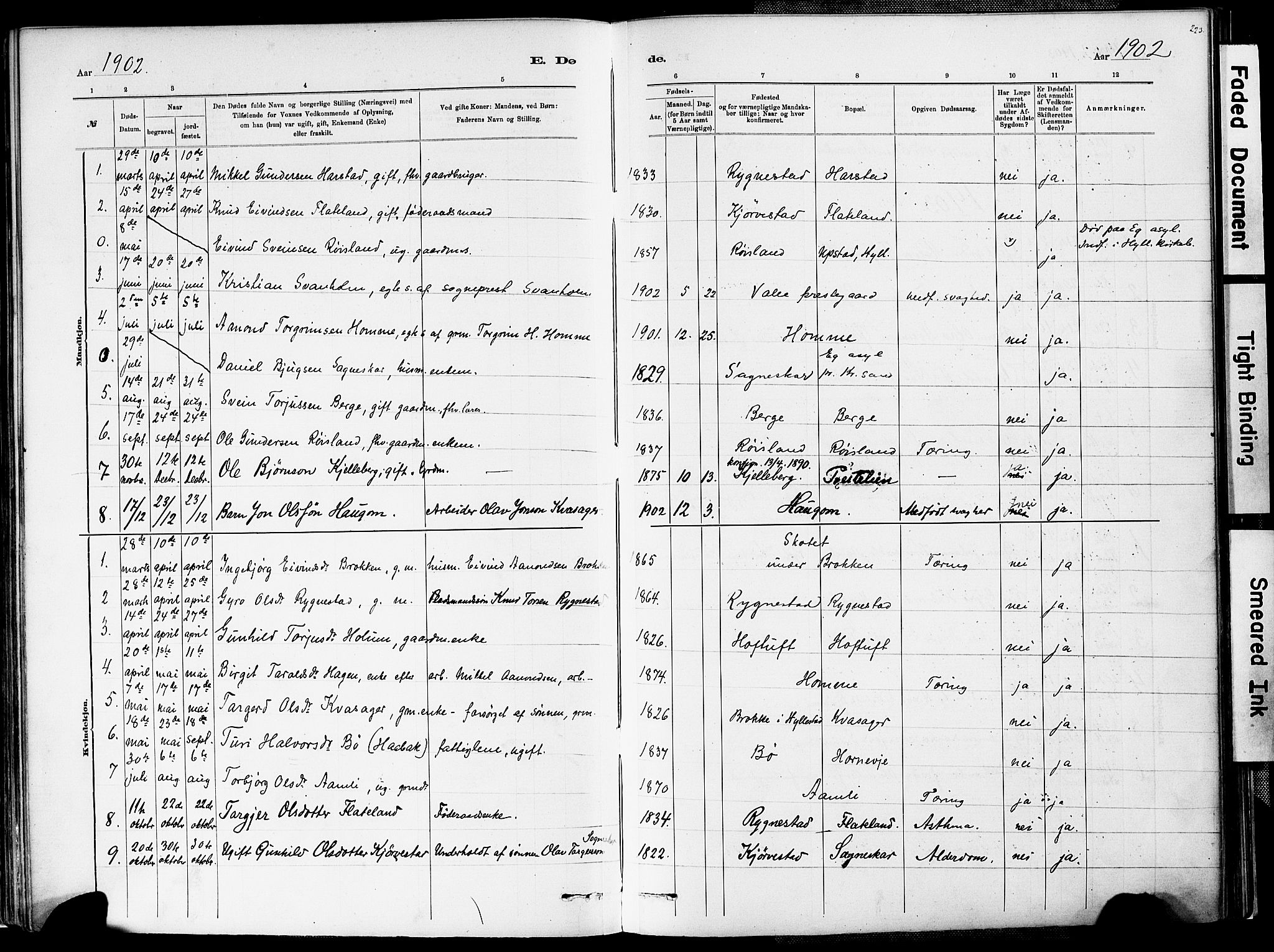 Valle sokneprestkontor, AV/SAK-1111-0044/F/Fa/Fac/L0009: Parish register (official) no. A 9, 1882-1913, p. 223